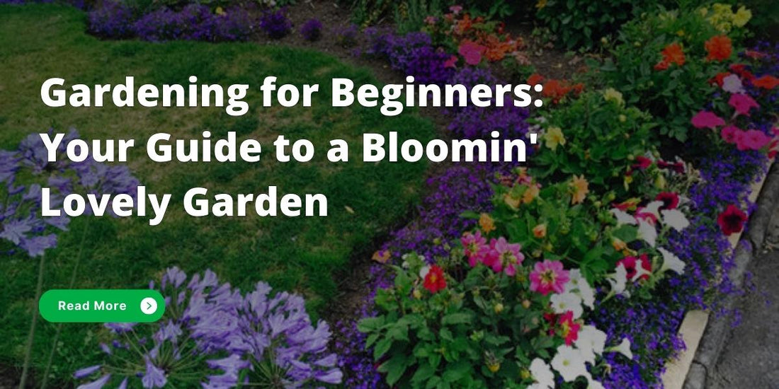 Easy UK gardening guide for beginners