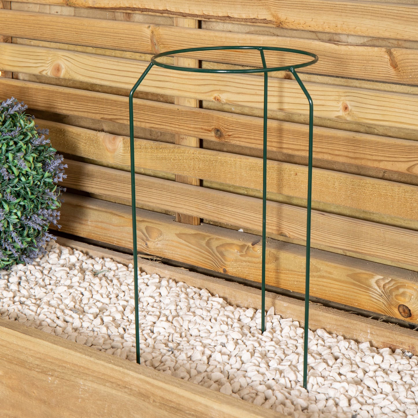 Tom Chambers Green Metal Herbaceous Garden Plant Support Ring Small