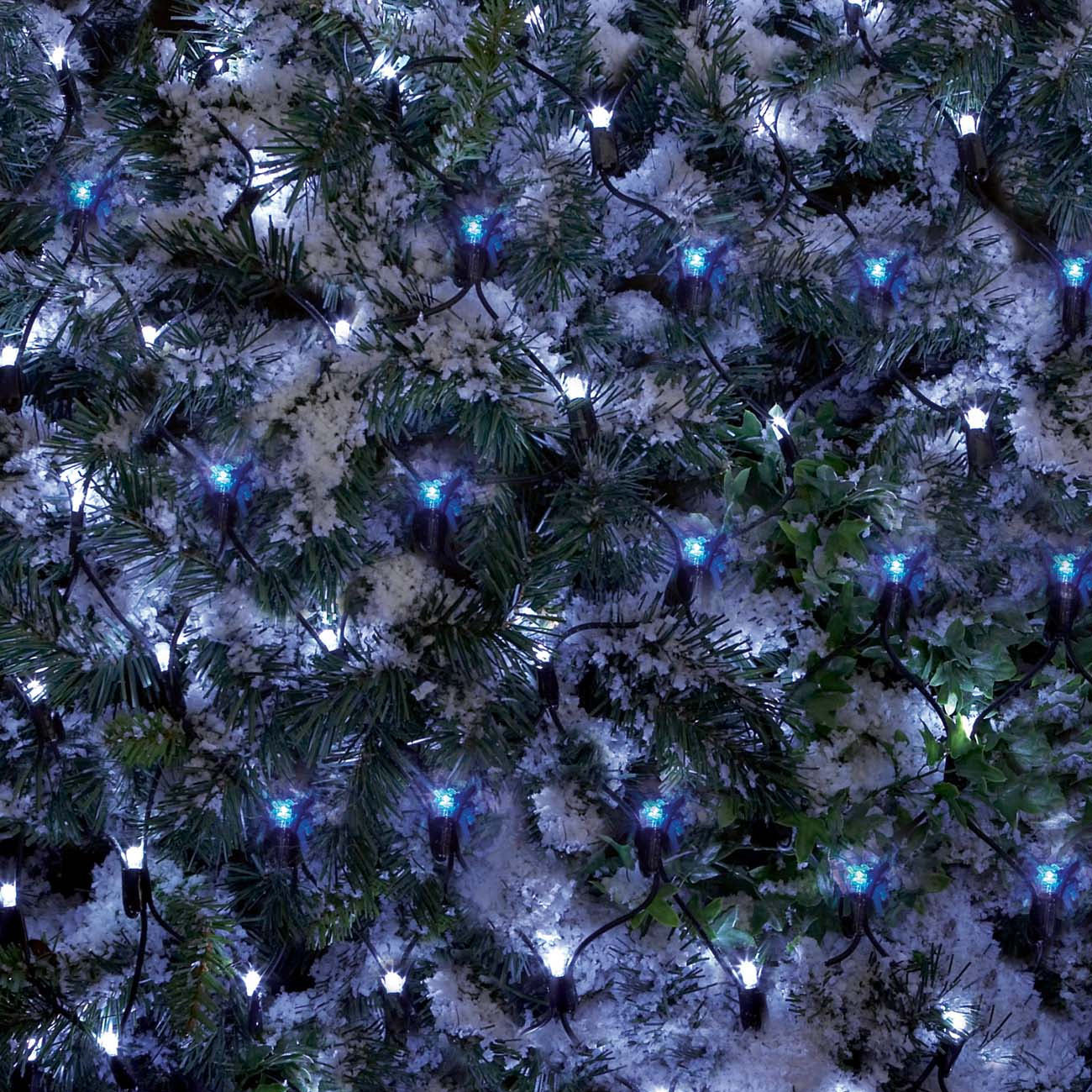 1.7m x 1.2m 180 LED Premier Indoor Outdoor Multifunction Christmas Net Light with Timer in Blue & White