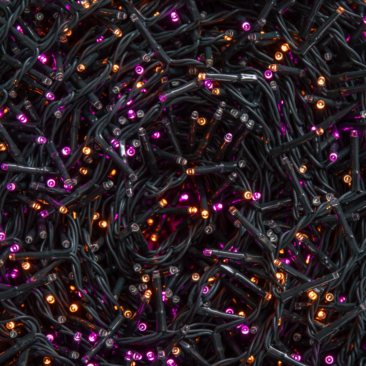 125m Treebrights Christmas Lights with 5000 LEDs in Rainbow with Timer