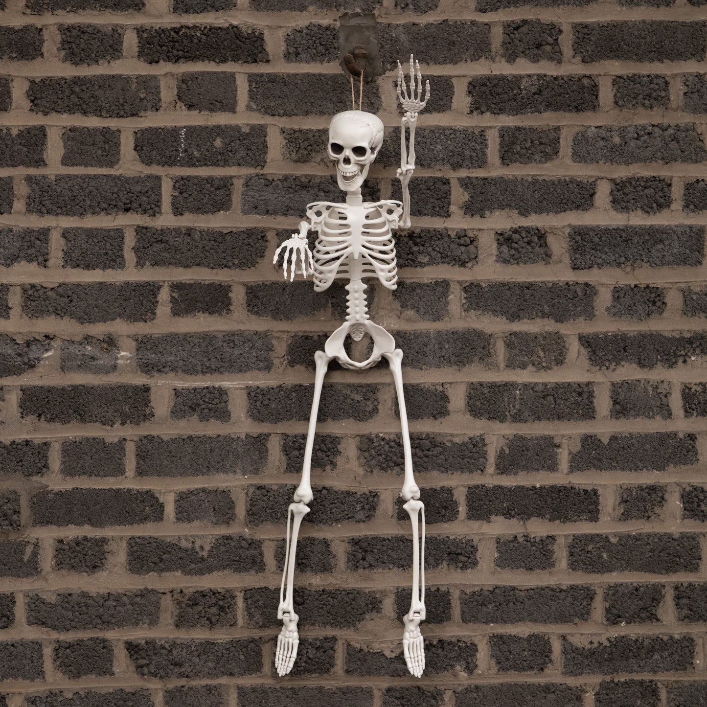 3ft (90cm) Posable Full Body Halloween Skeleton Decoration with Movable Joints