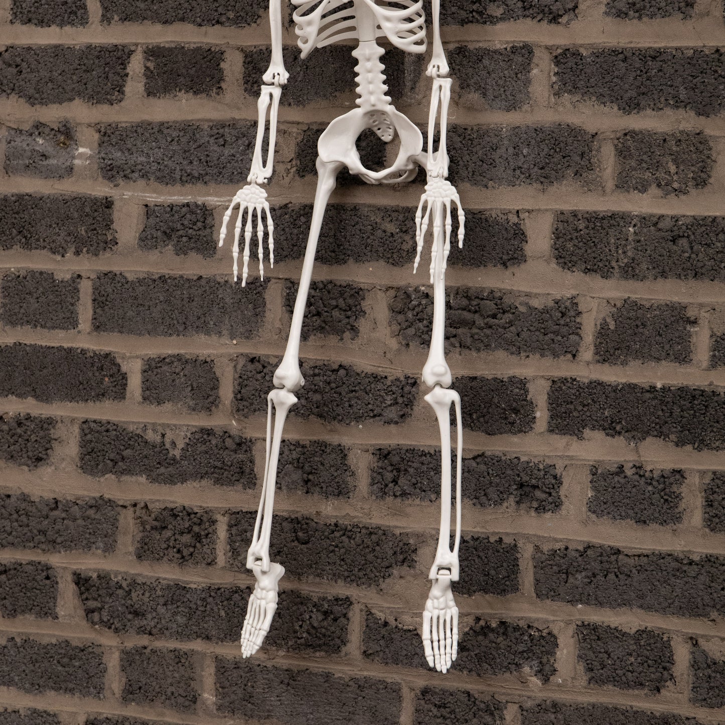 3ft (90cm) Posable Full Body Halloween Skeleton Decoration with Movable Joints