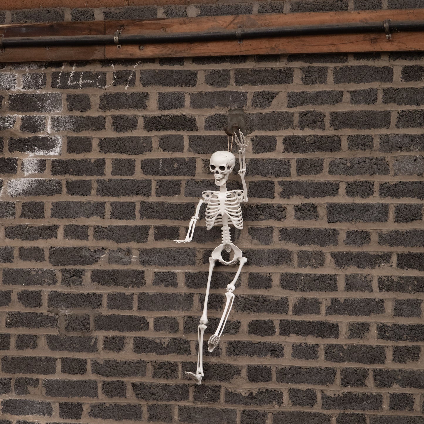 3ft (90cm) Posable Full Body Halloween Skeleton Decoration with Movable Joints