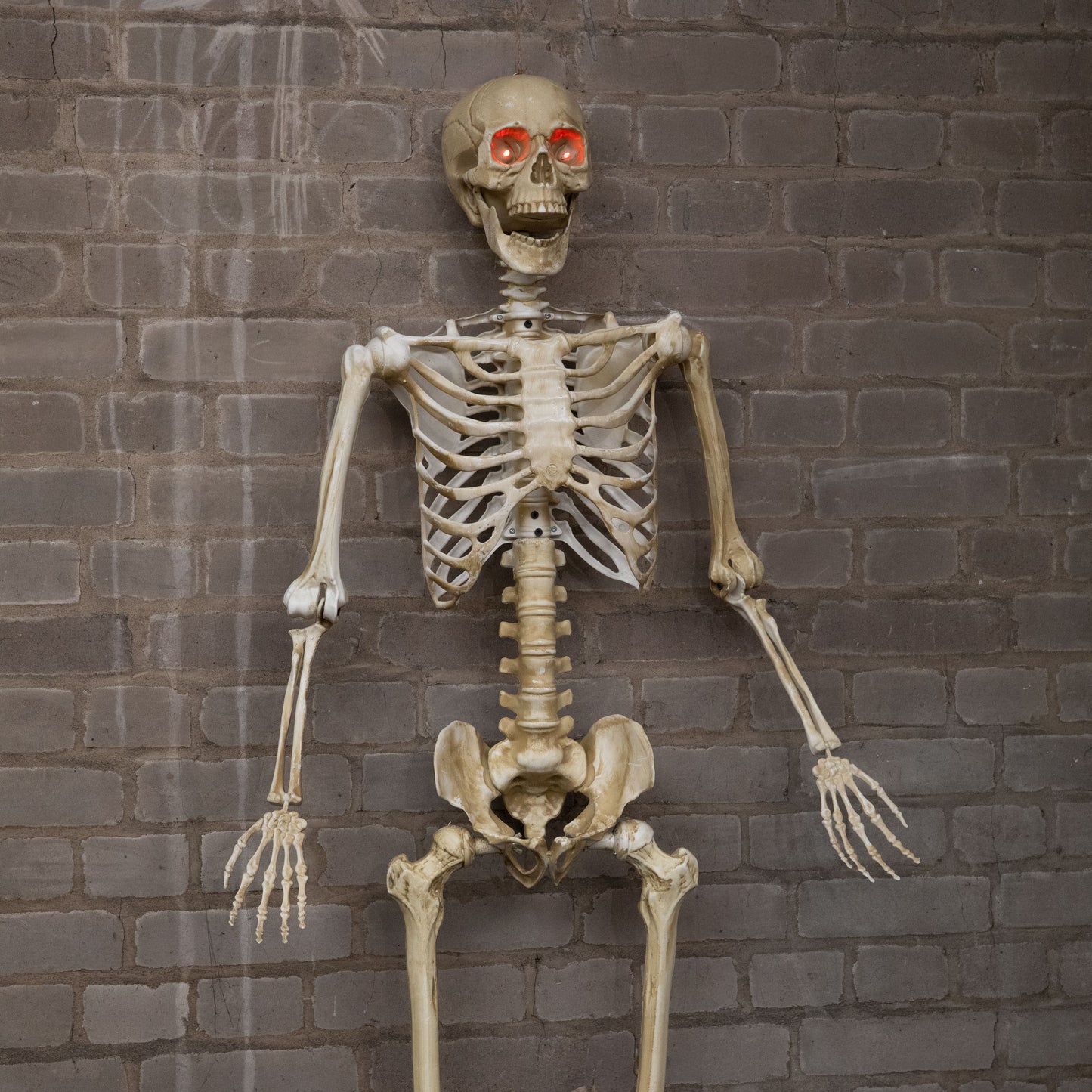 5ft (1.5m) Battery Powered Light up Halloween Skeleton with Poseable Joints & Red LEDs