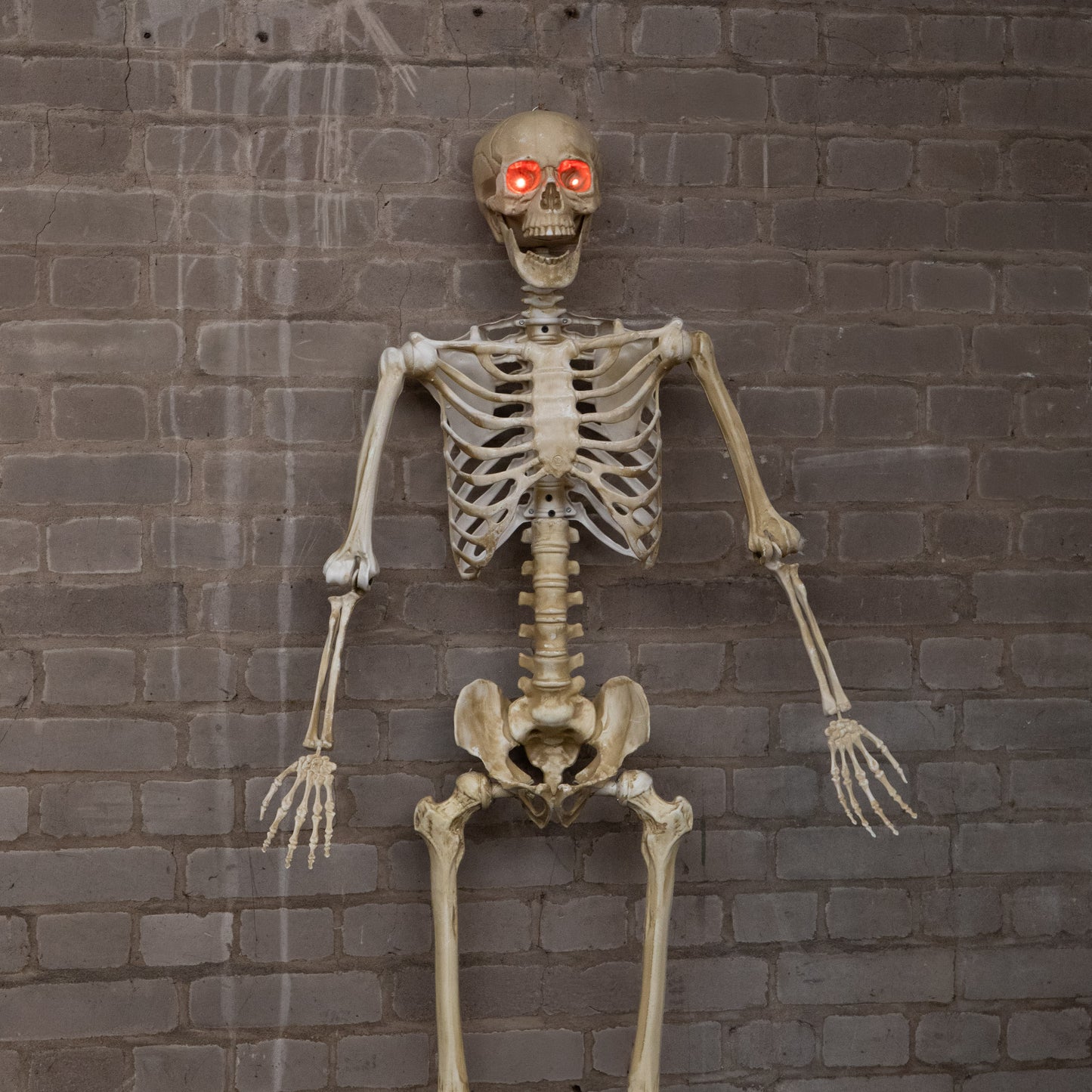 5ft (1.5m) Battery Powered Light up Halloween Skeleton with Poseable Joints & Red LEDs