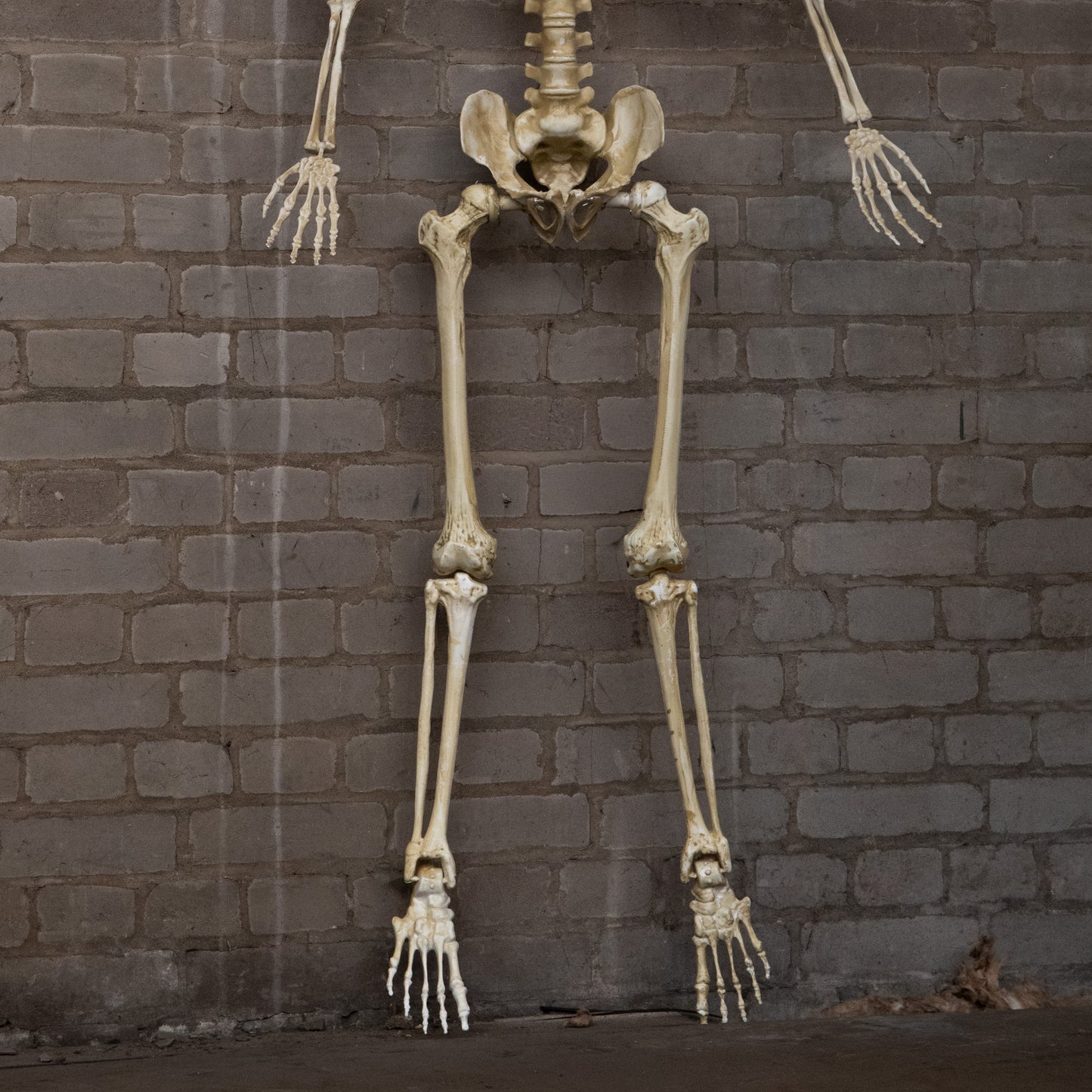 5ft (1.5m) Battery Powered Light up Halloween Skeleton with Poseable Joints & Red LEDs
