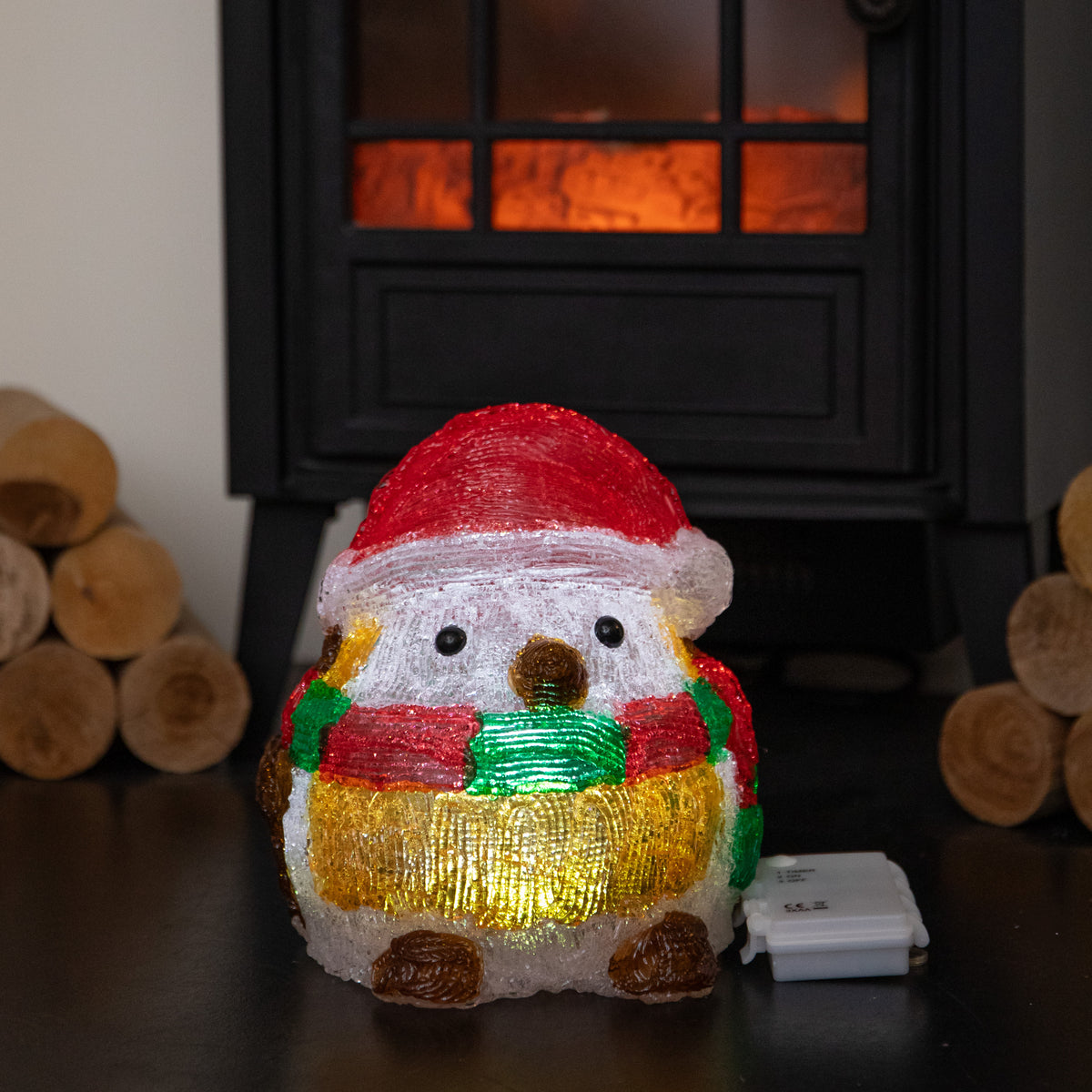 19cm Light Up Acrylic Christmas Santa Robin Decoration with White LEDs