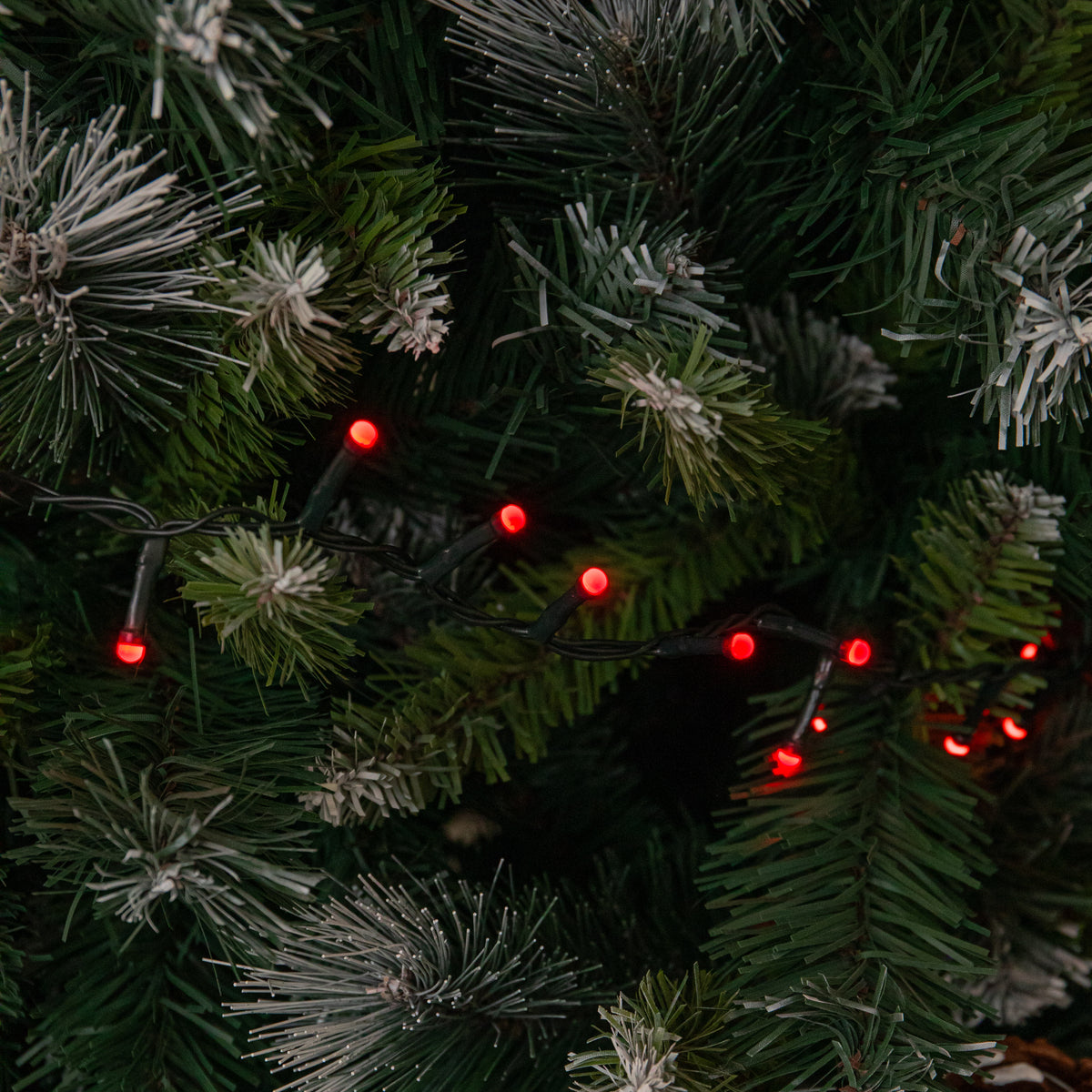 9m 360 LED BerryBrights Christmas String Lights in Red