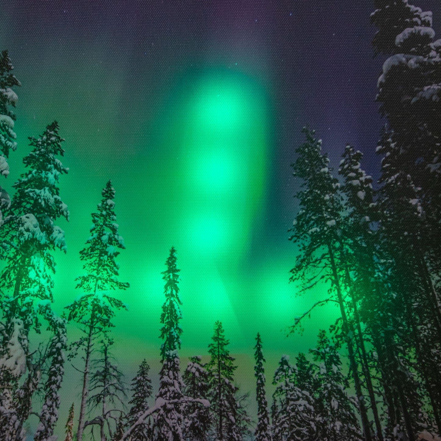 40 x 30cm Battery Powered Light Up Christmas Wall Art Aurora Canvas
