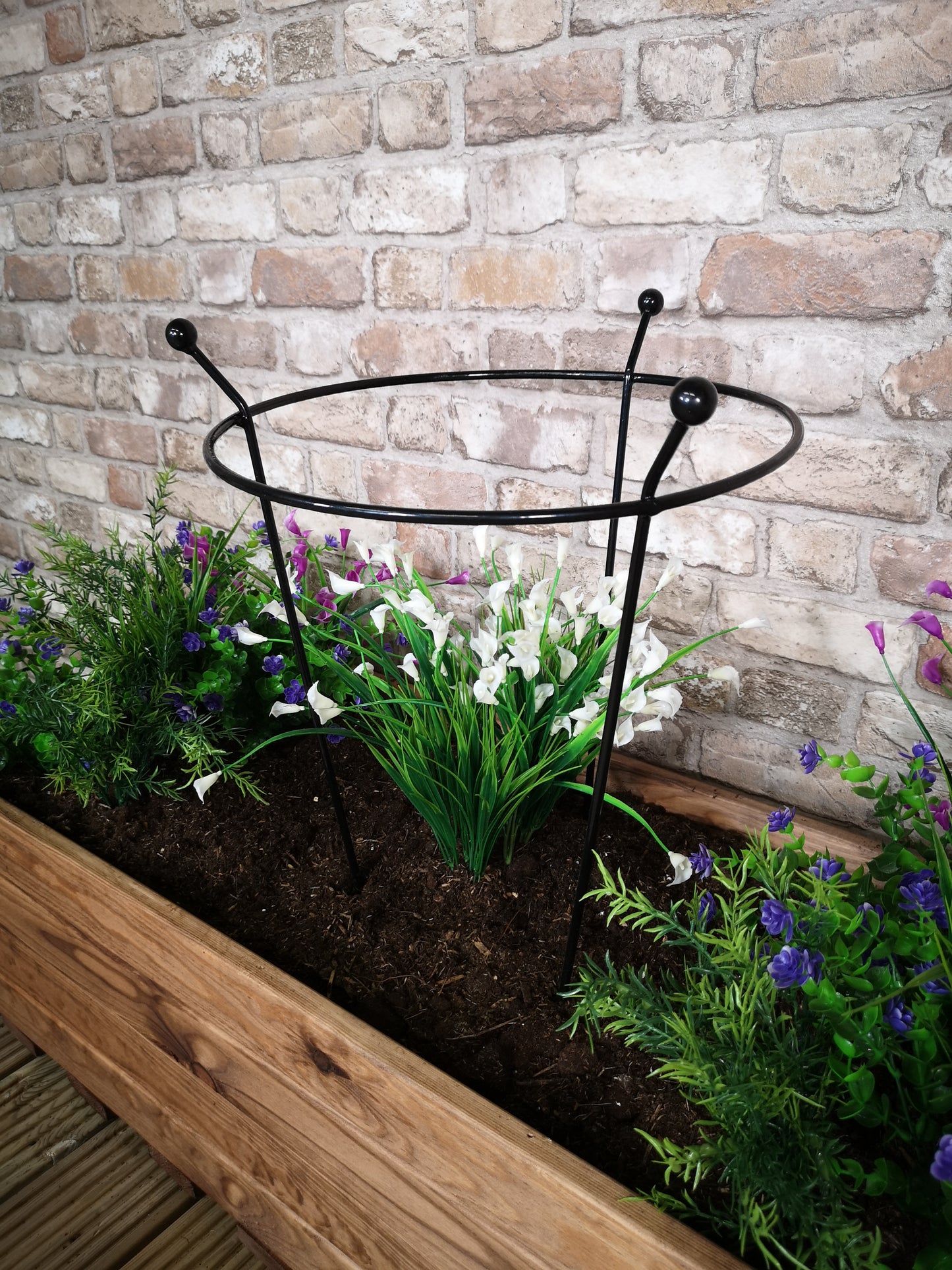 6 Pack of Small 60cm x 35cm Heavy Duty Black Steel Herbaceous Garden Plant Support Ring