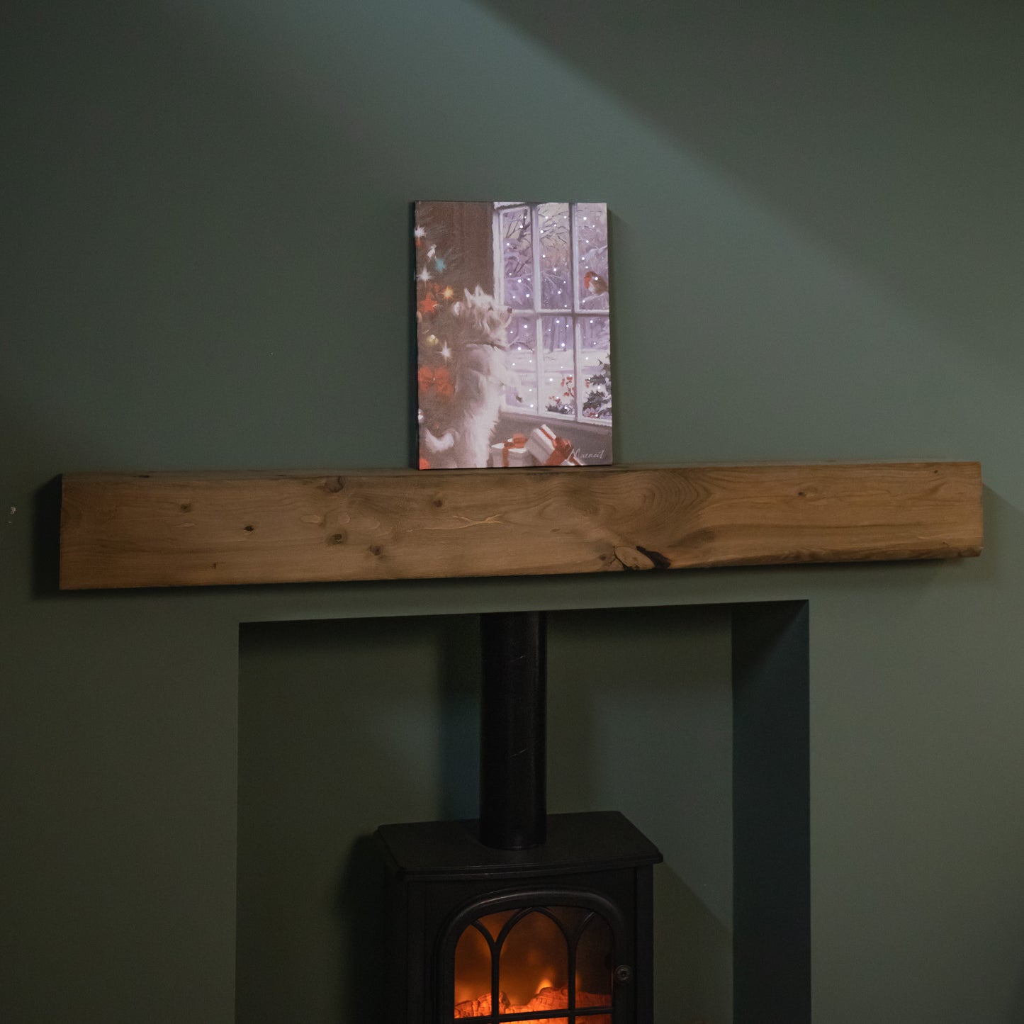 40cm x 30cm Battery Operated Light up Fibre Optic Christmas Dog & Robin Wall Art