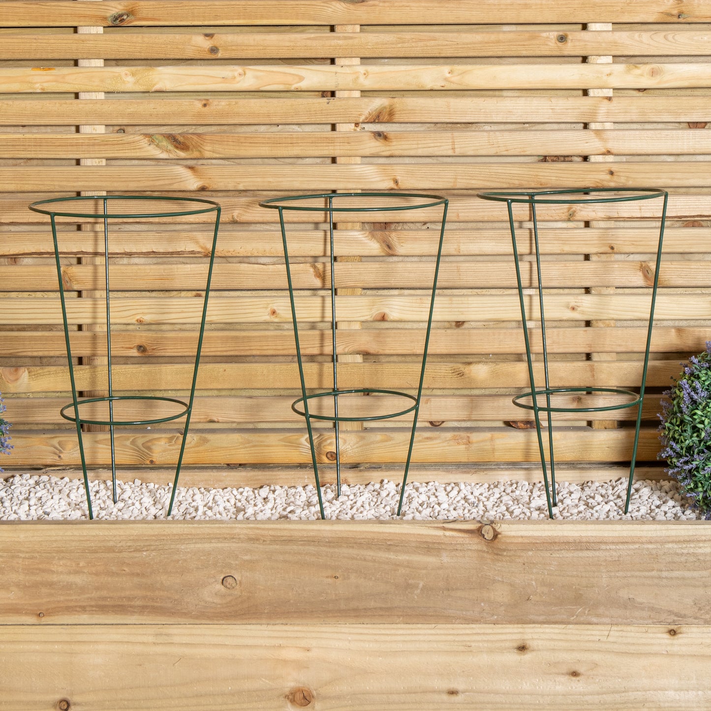 Pack of 3 Tom Chambers Urban Green Conical Garden Plant Support Ring 30cm - Medium