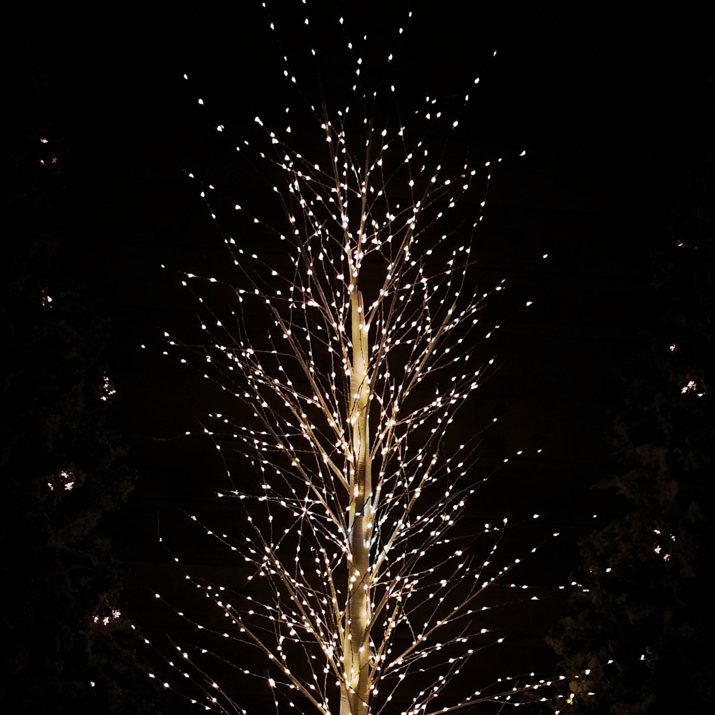 6ft (1.8m) White Modelling Micro Dot Tree with 1,300 Twinkling LEDs in Warm white