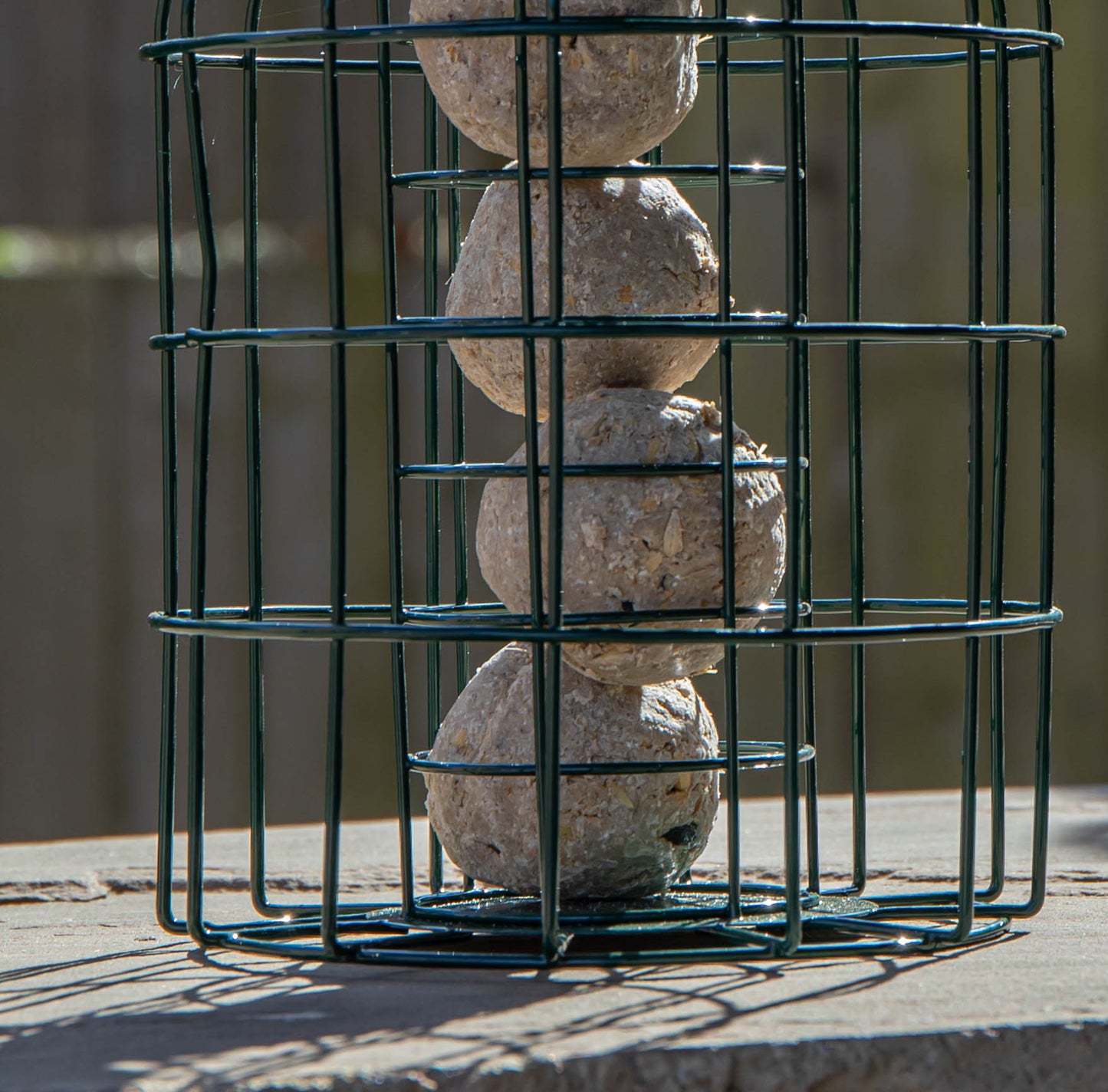 Pack of 2 Samuel Alexander Metal Hanging Bird Fat Ball Feeder with Squirrel Guard & Pack of 6 Suet Fat Balls