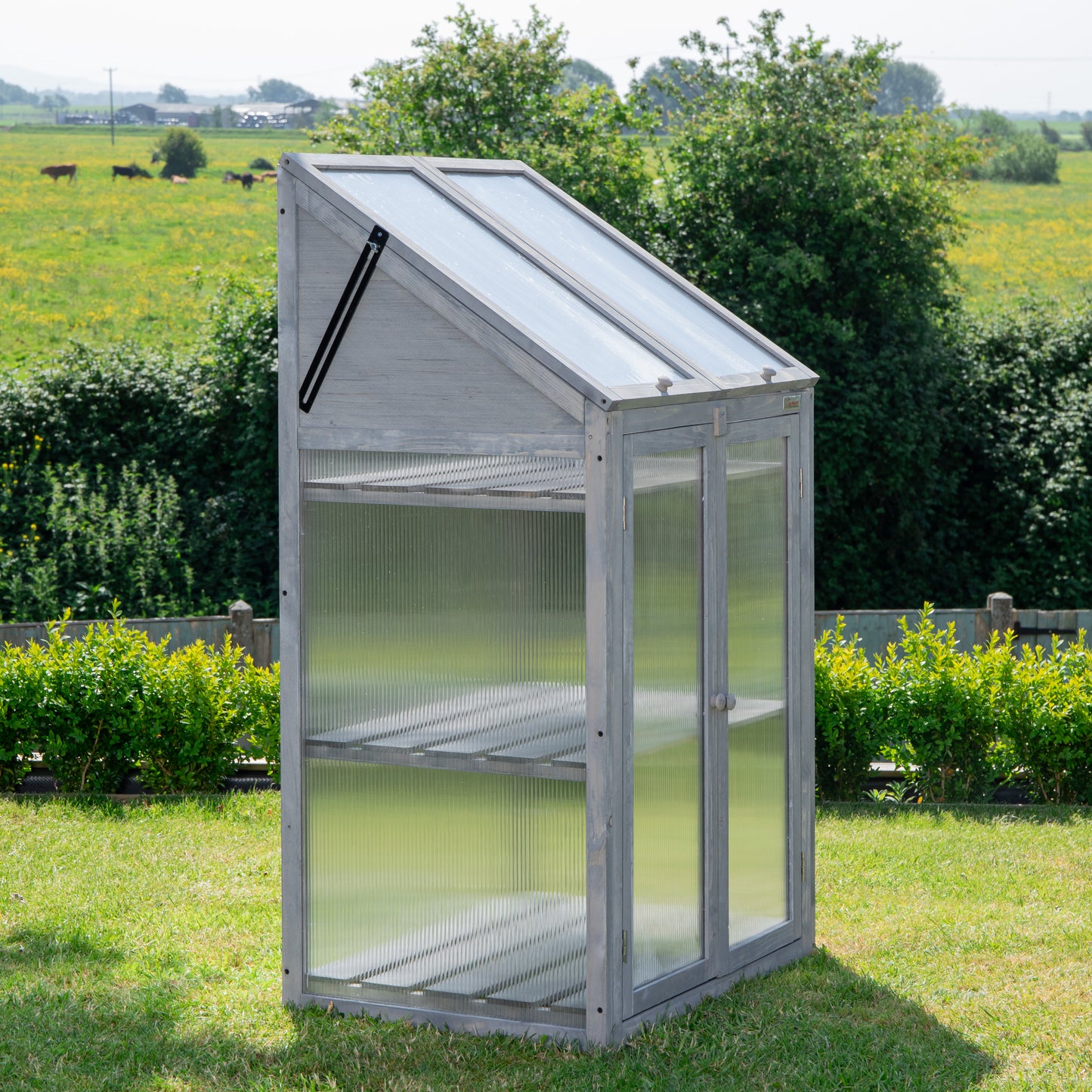 Samuel Alexander Wooden Mini Greenhouse Cold Frame - Small Greenhouse Grey H120 x W69 x D49cm
