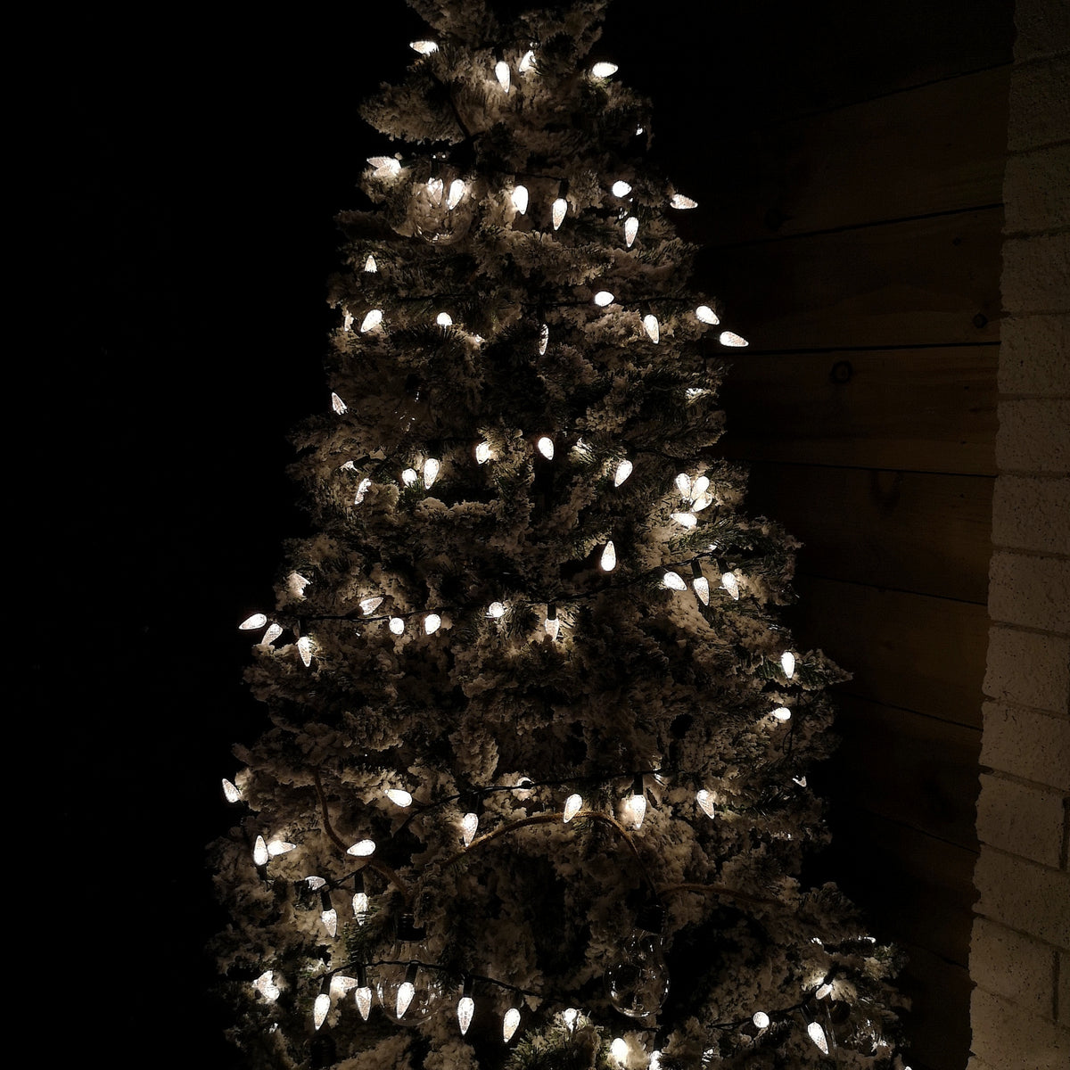 15m 300 LED Multi-action Pine Cone Christmas Lights in Warm White