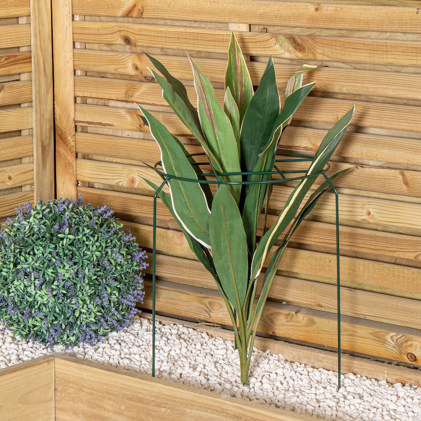 Pack of 3 Tom Chambers Urban Dark Green Metal Herbaceous Garden Plant Support Grow Through Medium 50cm x 30cm