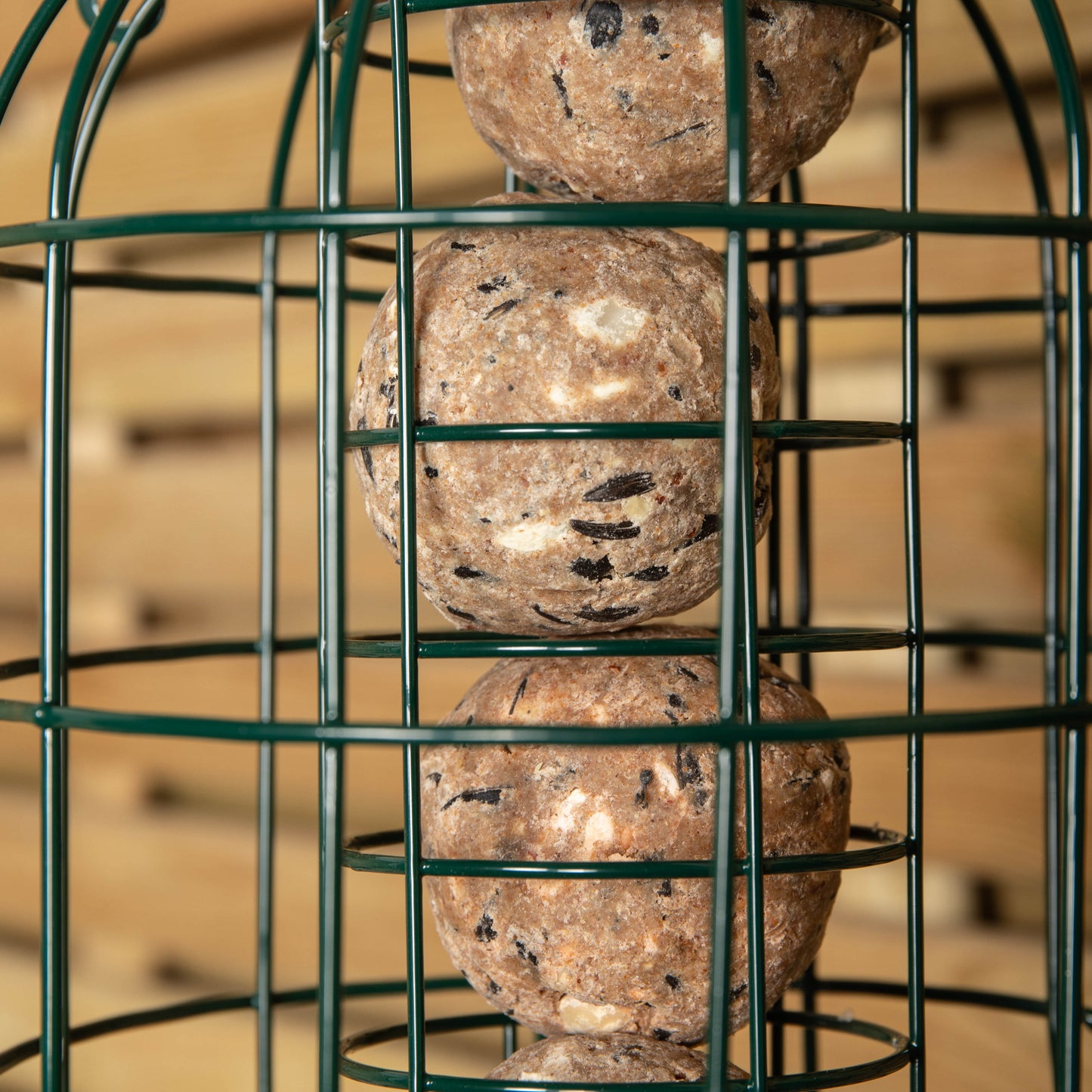 Pack of 4 Wild Bird Fat Ball Feeder with Squirrel Guard