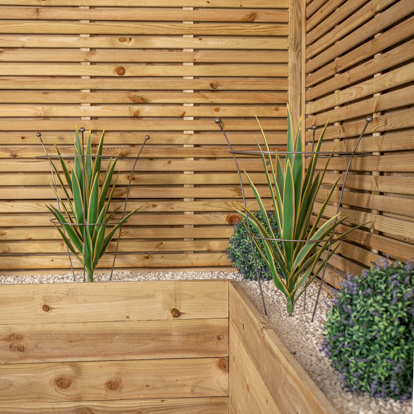 Set of 2 54cm x 40cm Medium Bare Rusted Steel Garden Plant Supports