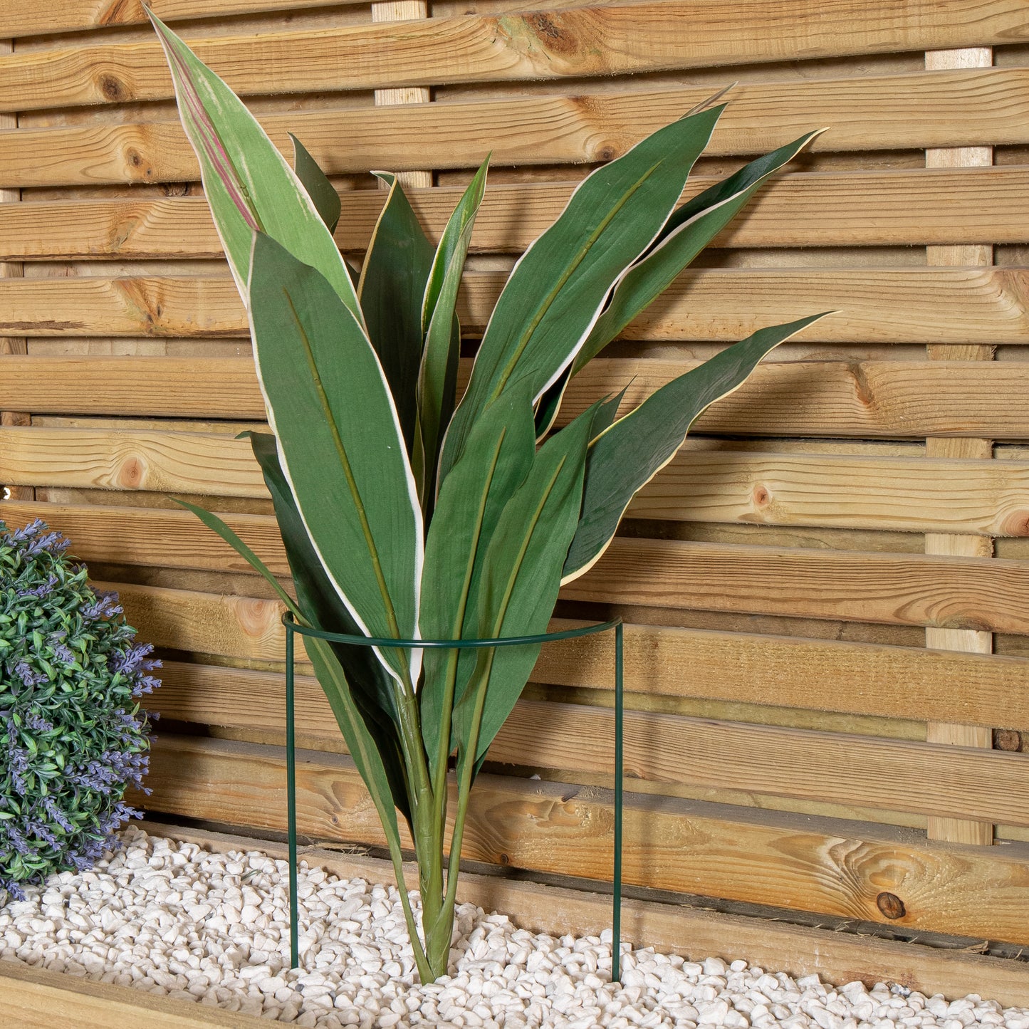 Tom Chambers Urban Metal Green Herbaceous Garden Plant Support Arc 20cm x 60cm - Small