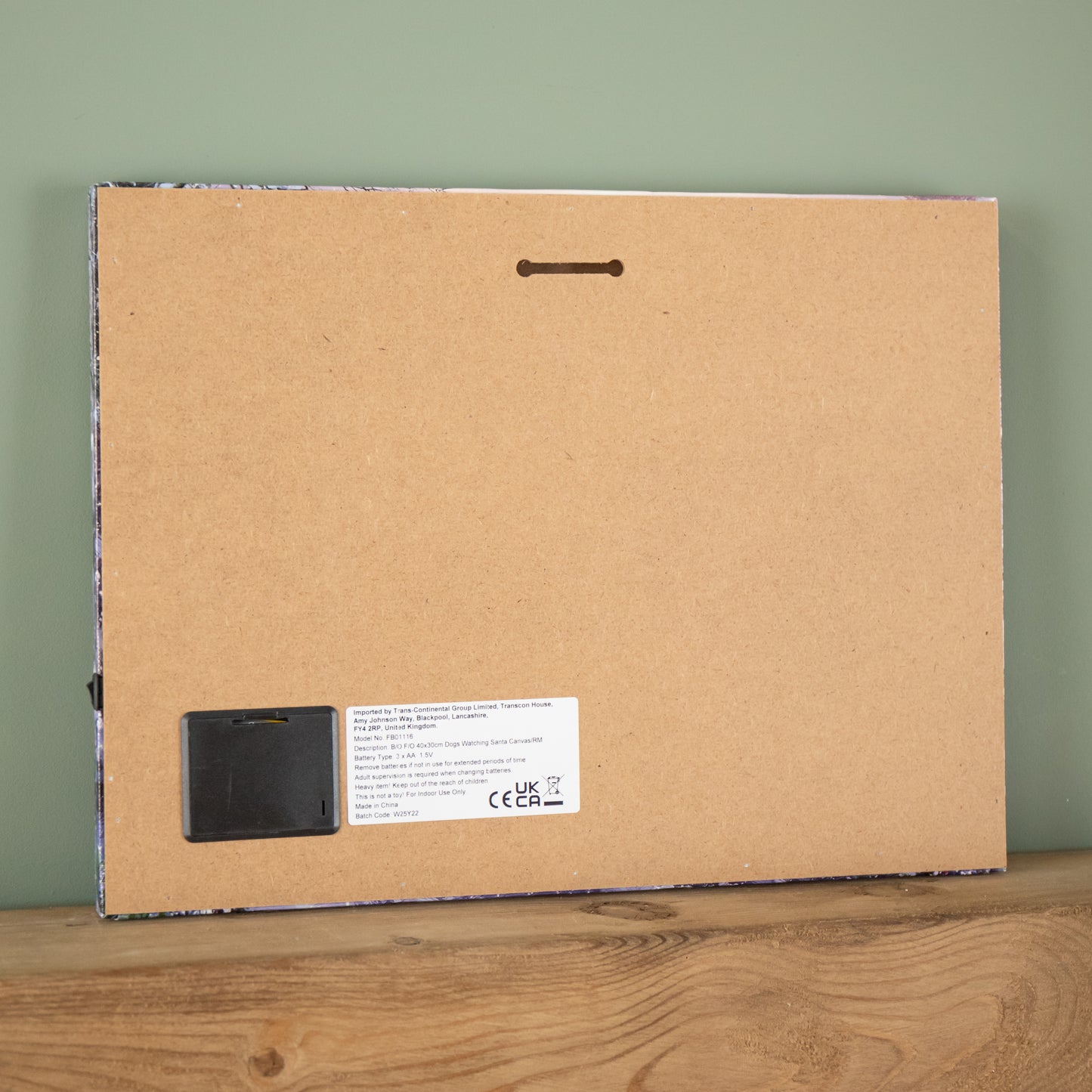 40 x 30cm Battery Operated Light up Fibre Optic Dogs Watching Santa Christmas Wall Canvas