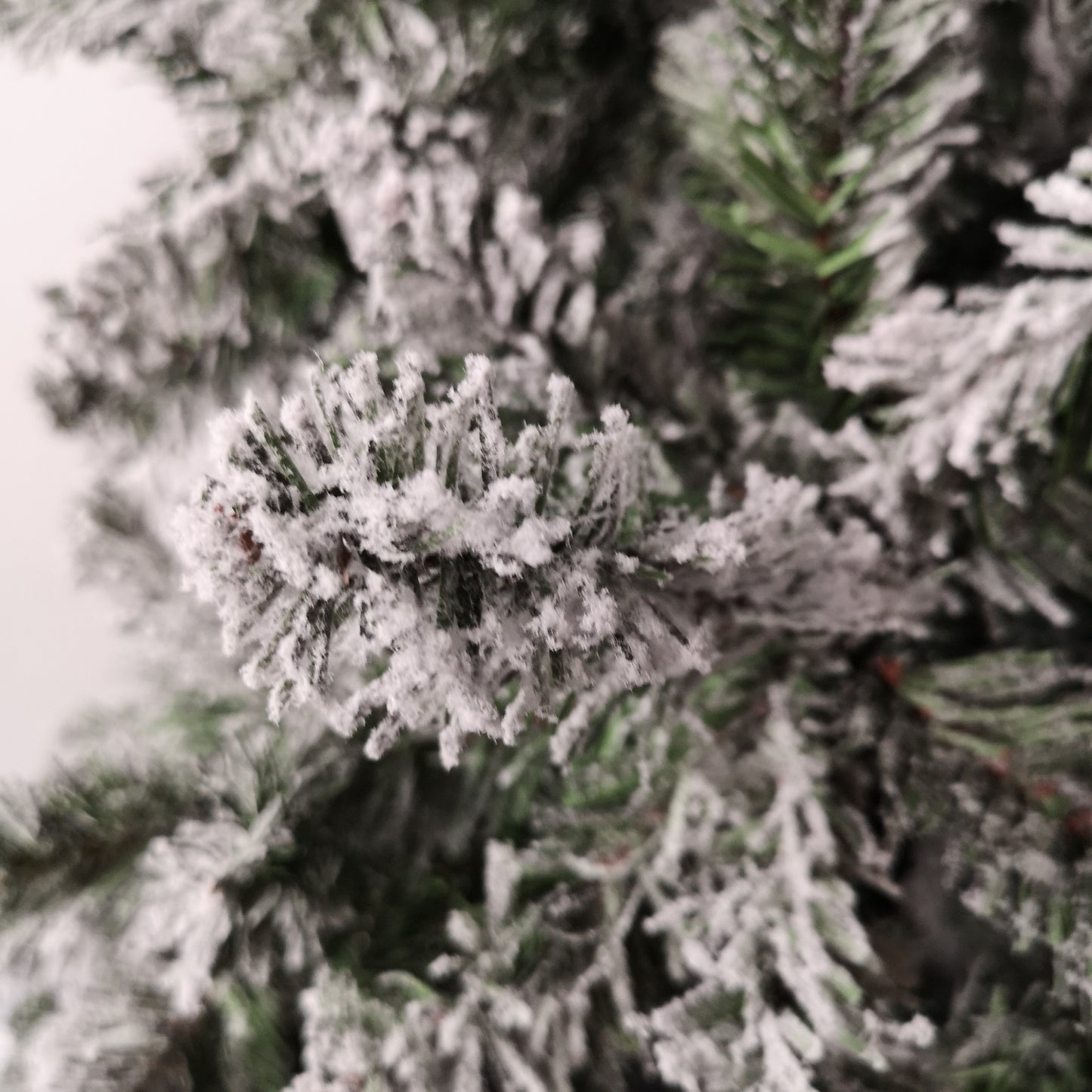 8ft (2.4m) Snow Flocked Woodcote Spruce Artificial Christmas Tree