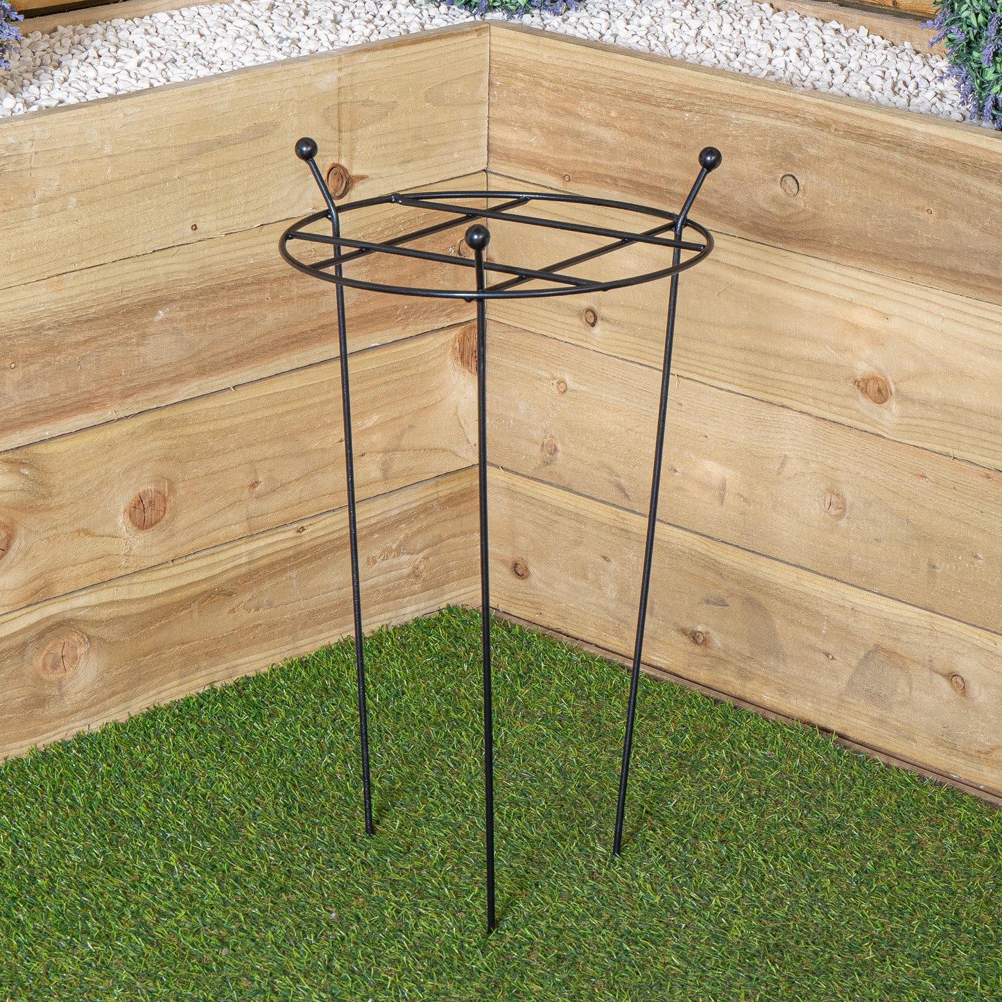 Tom Chambers Heavy Duty Black Metal Steel Garden Plant Support Grow Through - 60cm x 35cm