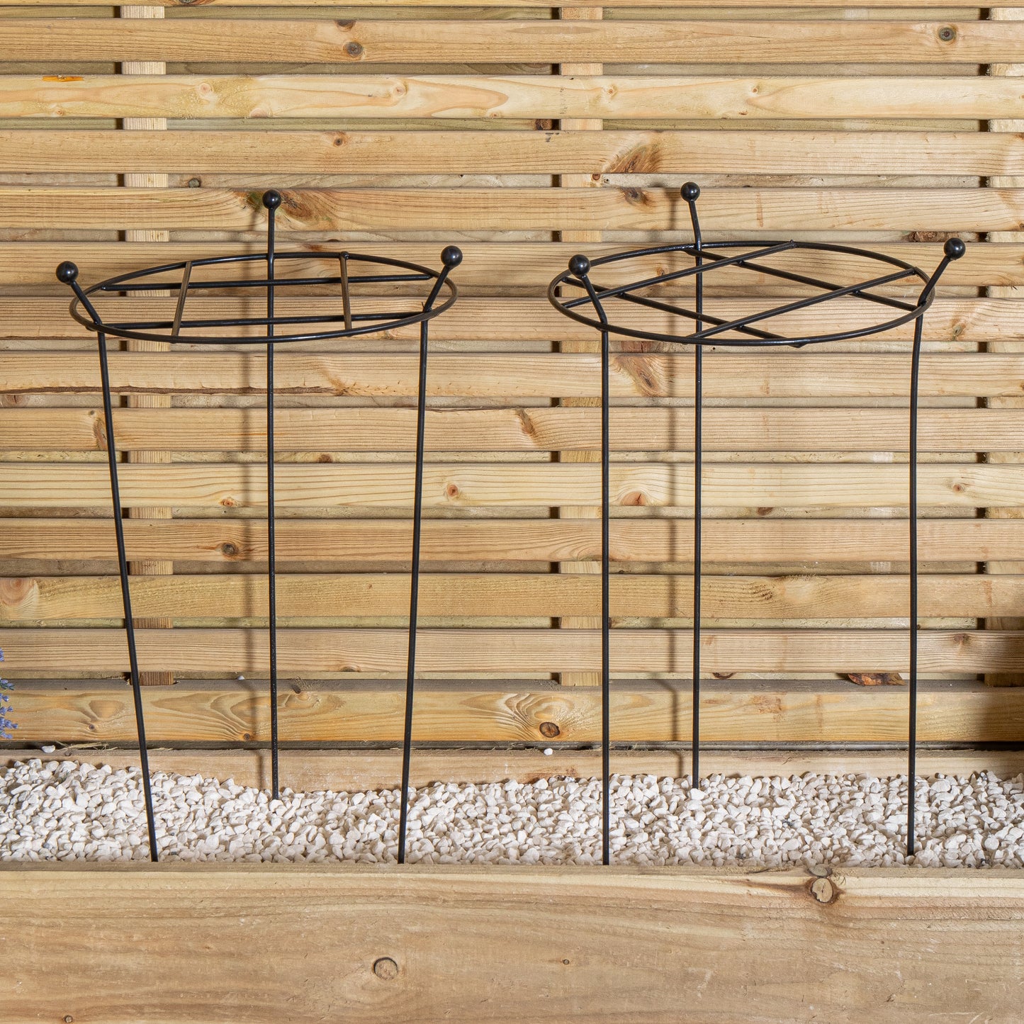 Pack of 2 Tom Chambers Cottage Heavy Duty Black Metal Steel Herbaceous Garden Plant Support Grow Through Small 60cm x 35cm