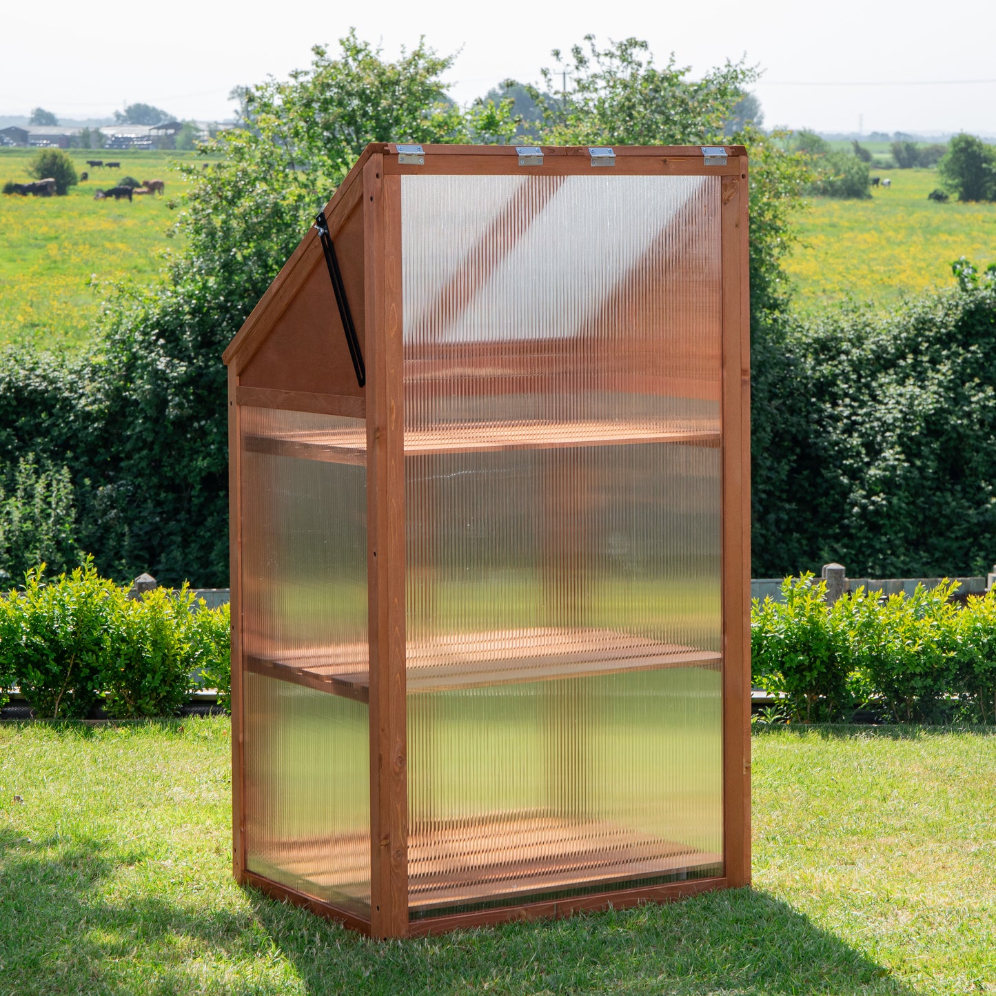 Samuel Alexander Wooden Mini Greenhouse Cold Frame - Small Greenhouse H120 x W69 x D49cm