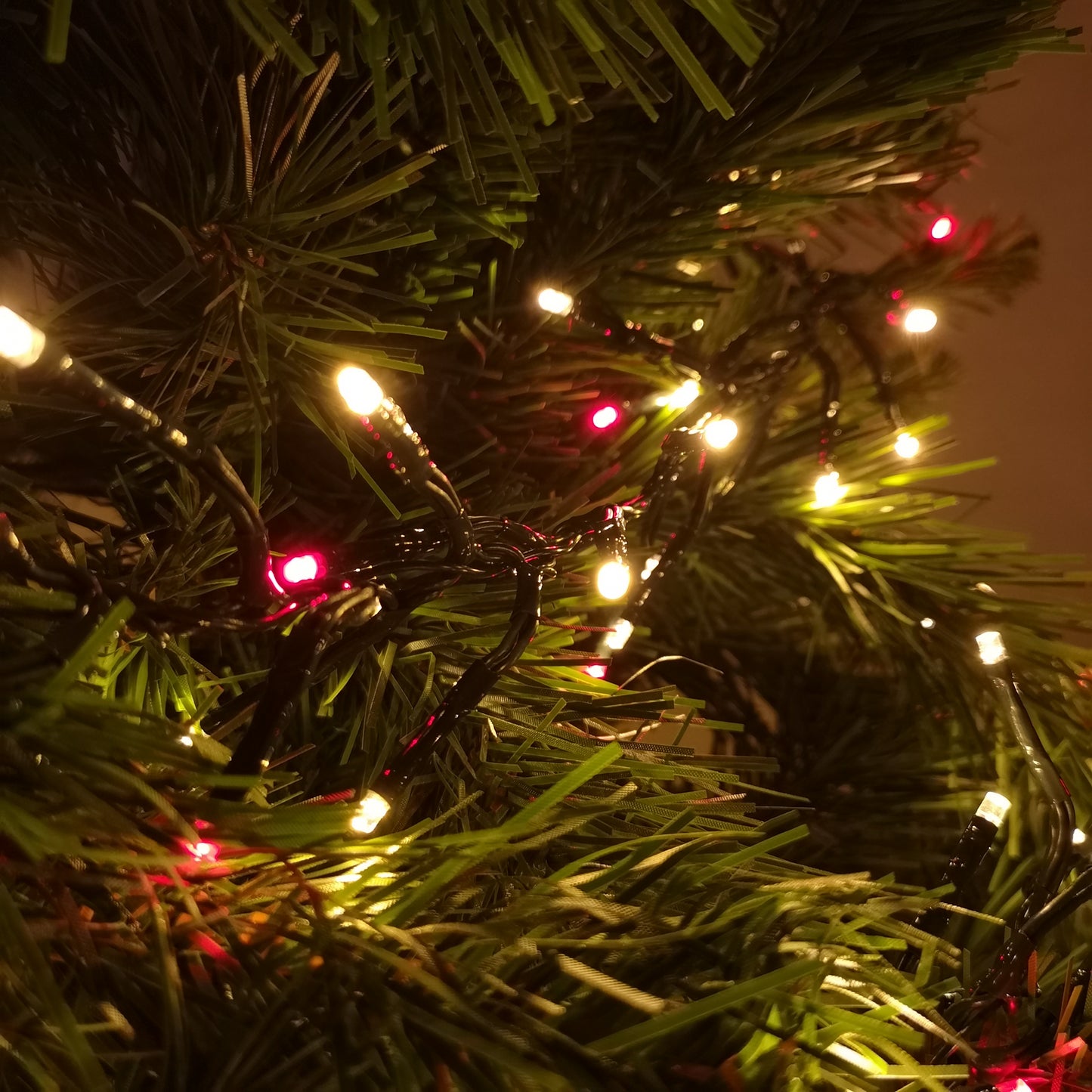 62.5m 5000 Vintage Gold & Red LEDs Indoor Outdoor Cluster Christmas Lights with Timer