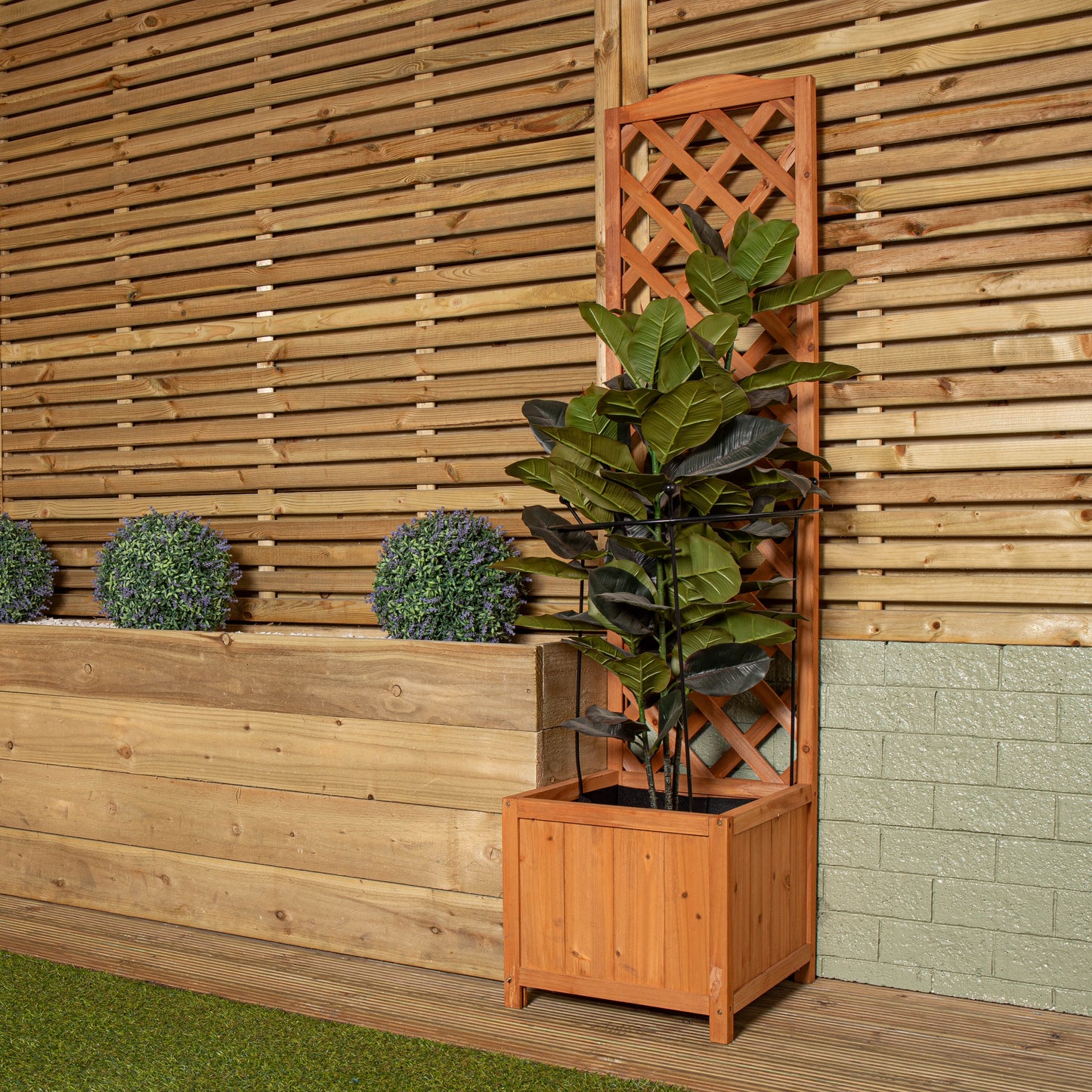 80cm x 45cm Large Cottage Heavy Duty Black Metal Herbaceous Garden Plant Support Grow Through