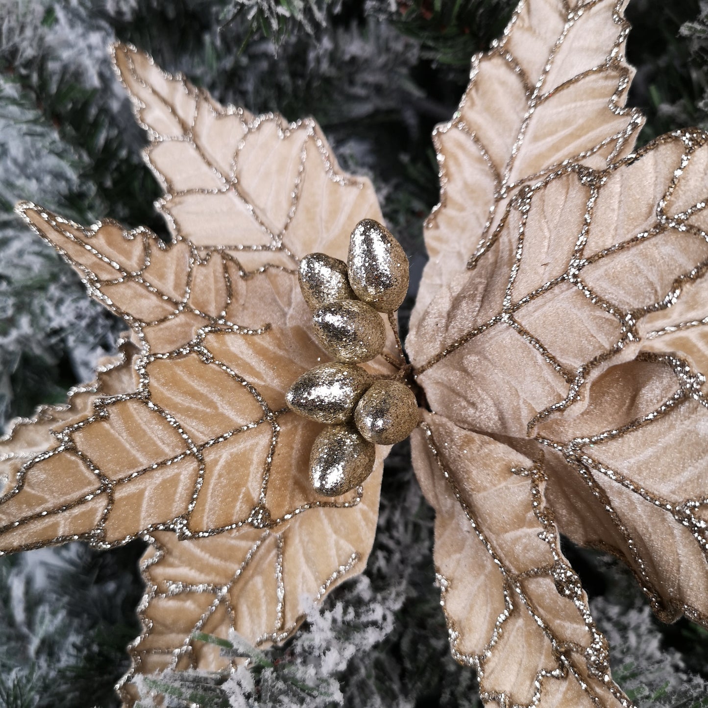 50cm Champagne Velvet Poinsettia Stem with Glitter Christmas Decoration