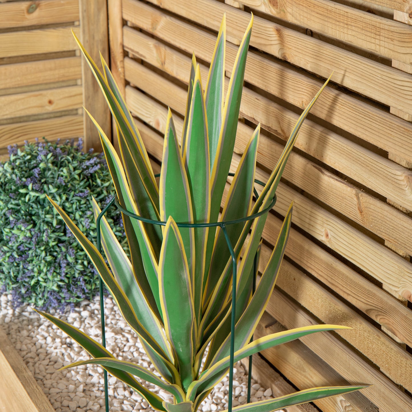 Tom Chambers Green Metal Herbaceous Garden Plant Support Ring Small