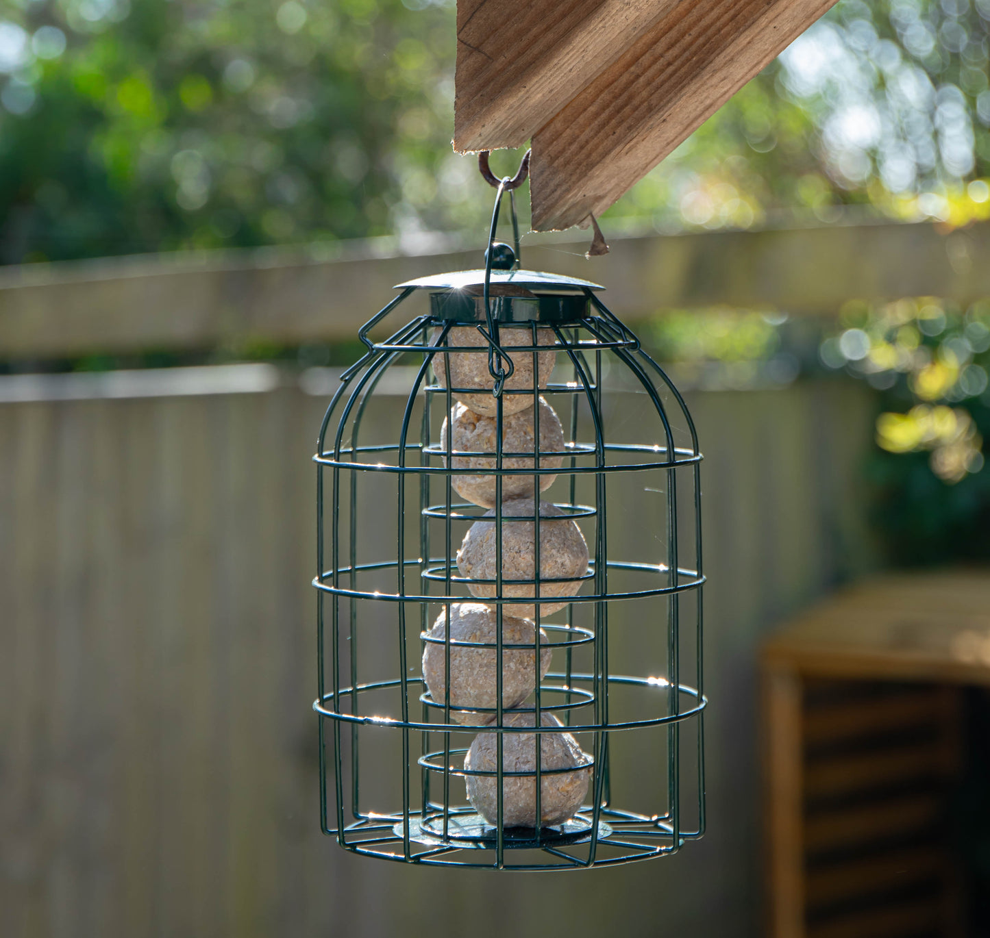 Pack of 2 Samuel Alexander Metal Hanging Bird Fat Ball Feeder with Squirrel Guard & Pack of 6 Suet Fat Balls