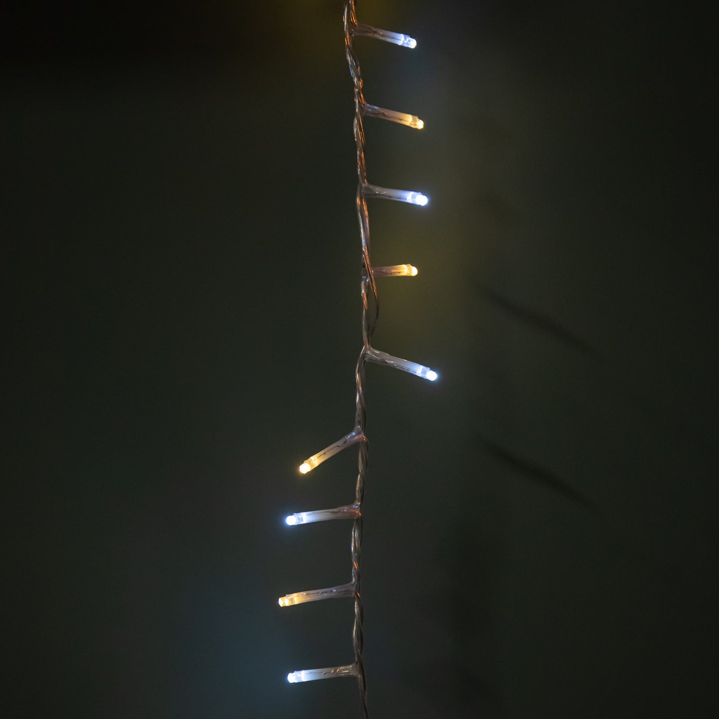 50m 2000 LED TreeBrights Christmas String Lights with Timer in White and Warm White on Clear Cable