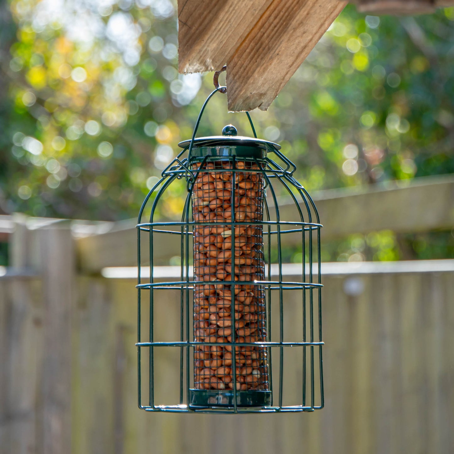 Natures Market Wild Bird Hanging Nut Feeder with Squirrel Guard