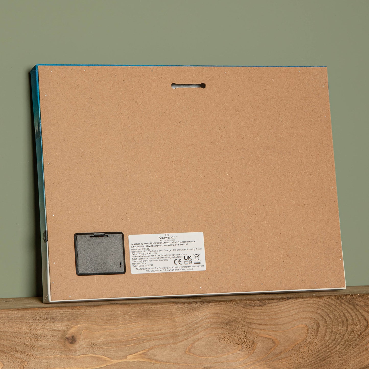 Battery Operated 30x40cm Colour Change LED Snowman Snowdog & Billy Canvas Wall Art