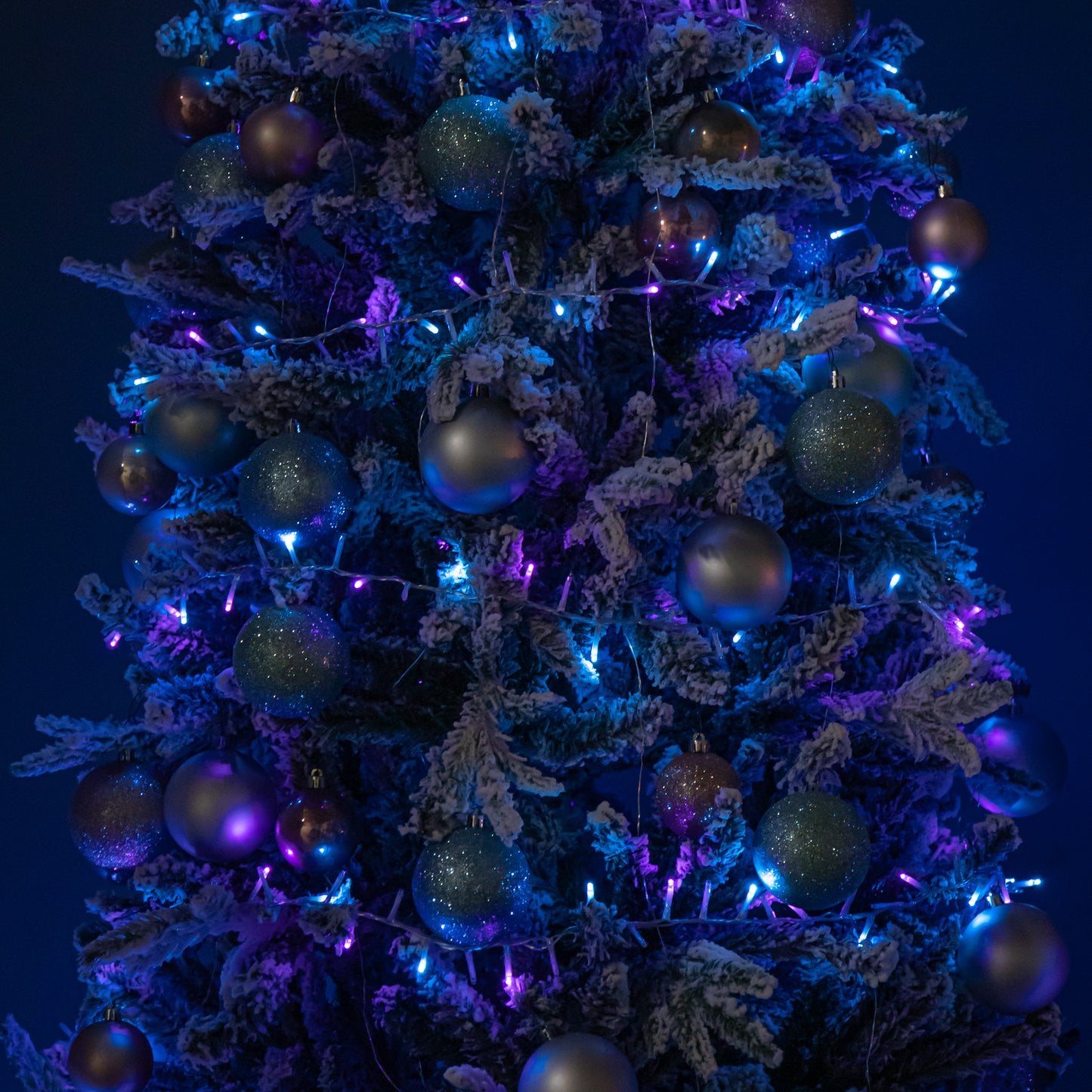 50m 2000 LED TreeBrights Christmas String Lights with Timer in Rainbow on Clear Cable