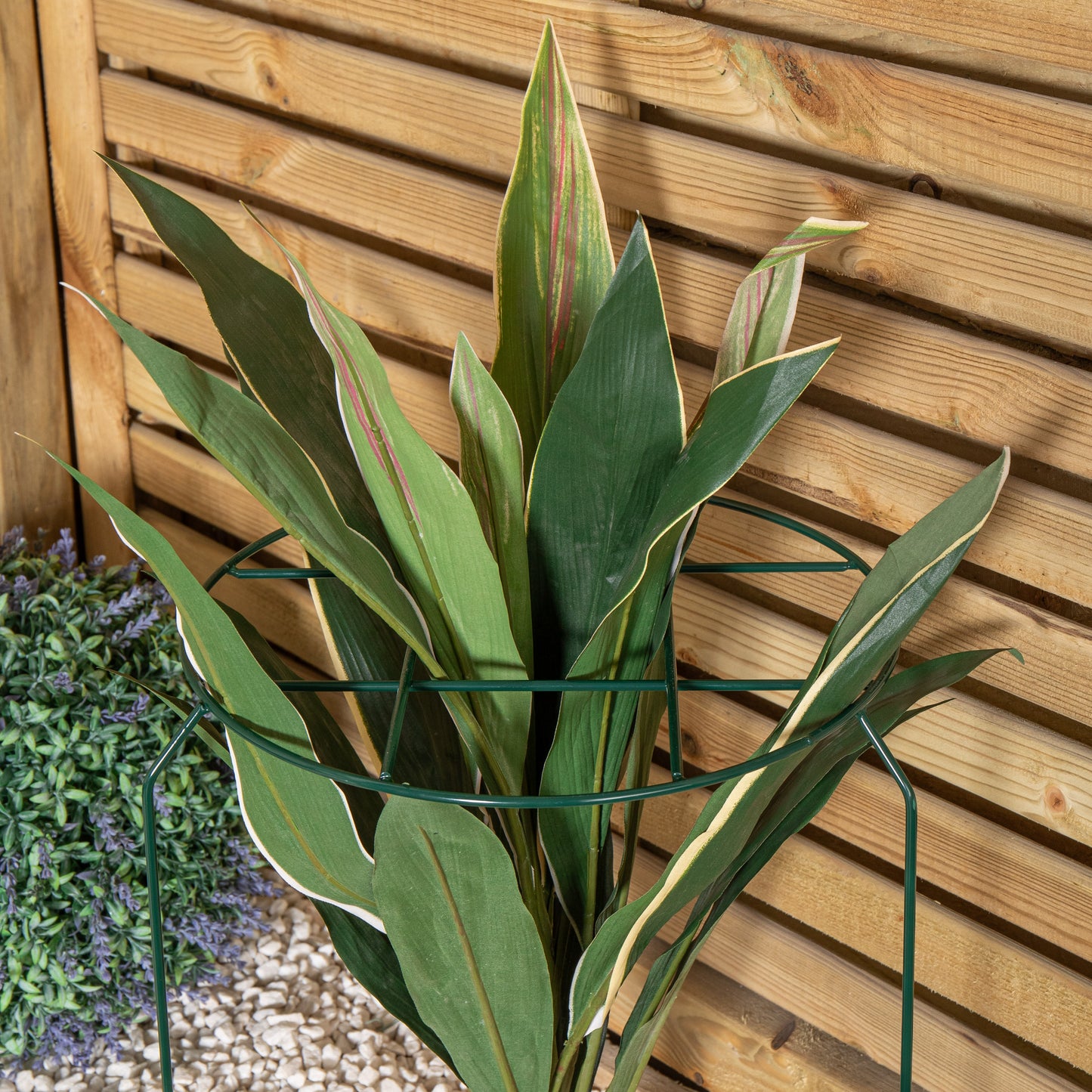 Tom Chambers Urban Dark Green Metal Herbaceous Garden Plant Support Grow Through Medium 50cm x 30cm