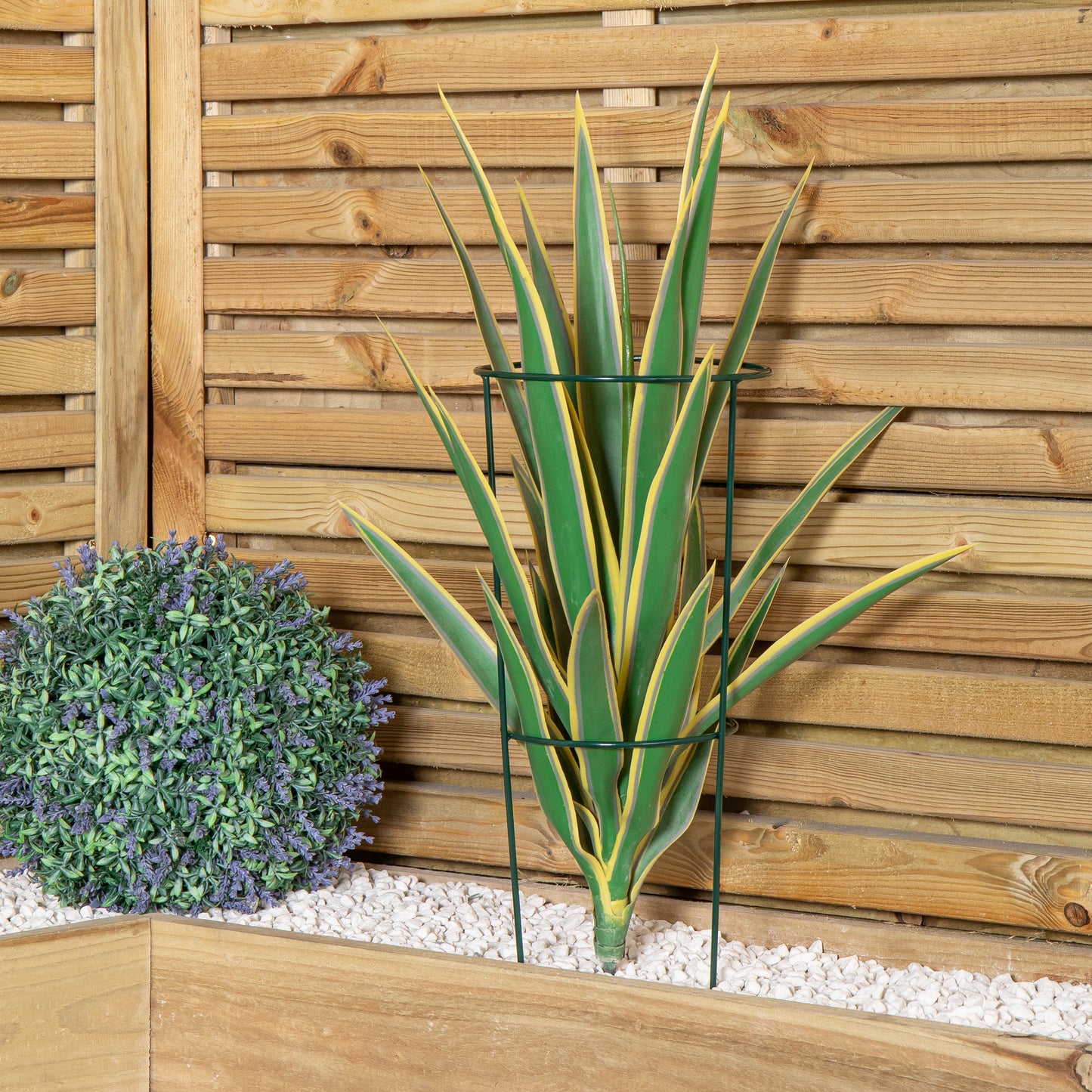 Pack of 3 Tom Chambers Urban Green Conical Garden Plant Support Ring 20cm- Small