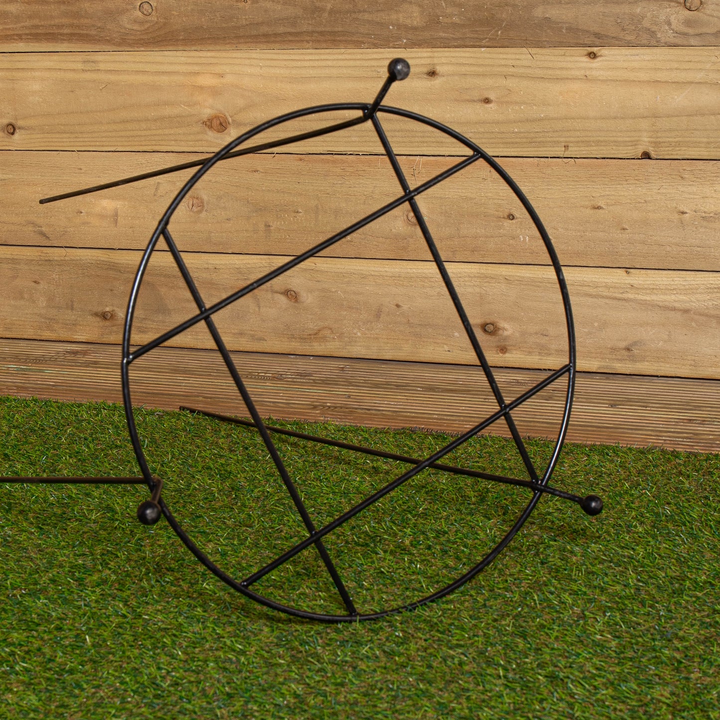 80cm x 45cm Large Cottage Heavy Duty Black Metal Herbaceous Garden Plant Support Grow Through