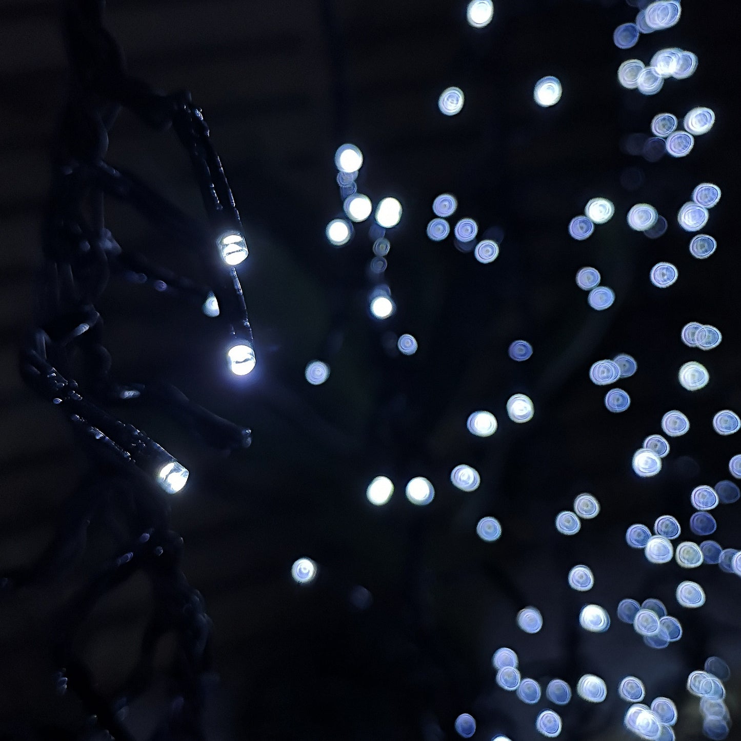 Set of 6 Drop Tree Multi-Action Christmas ClusterBrights with 384 White LEDs