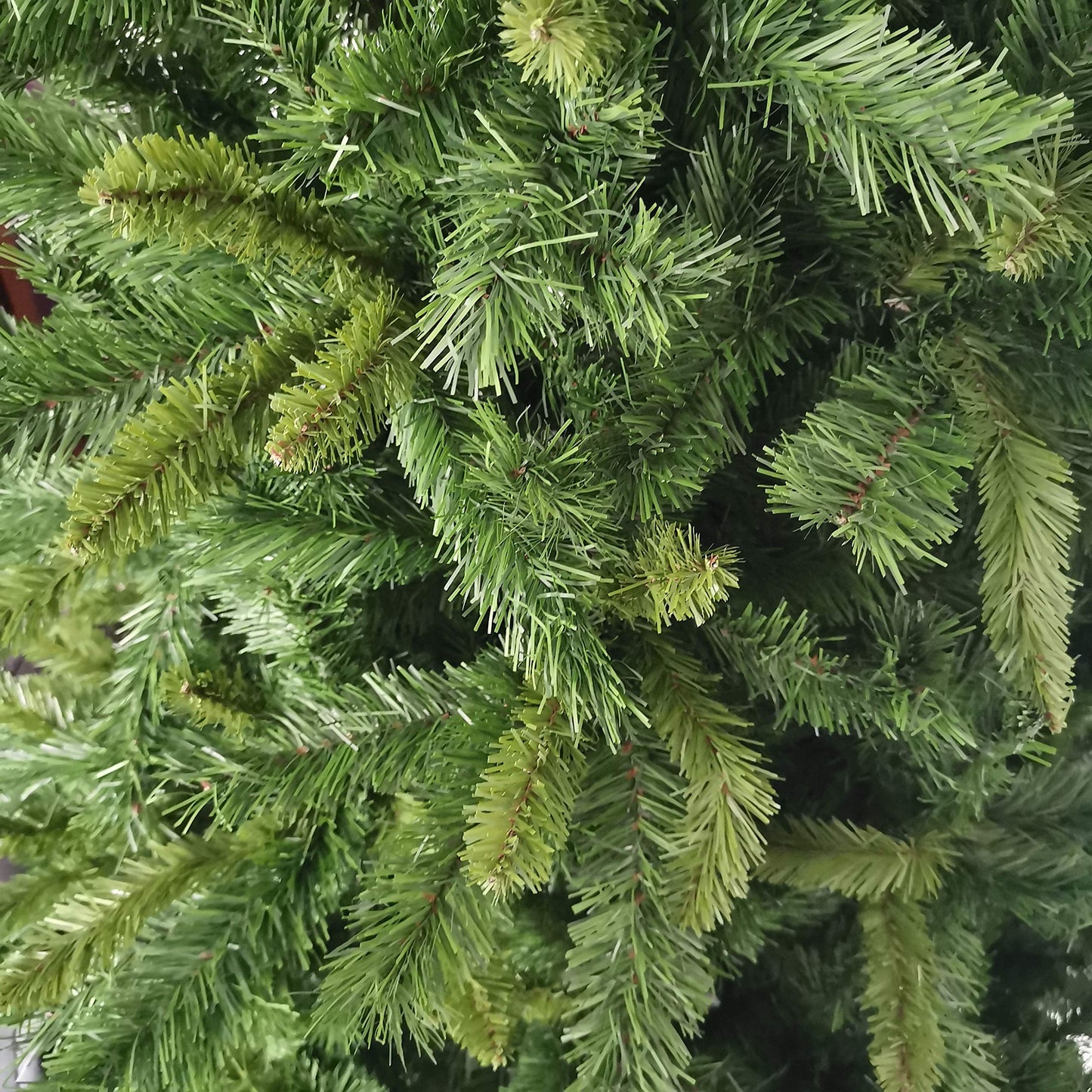 Factory Seconds: 8ft New Duchess Spruce Hinged 1312 Tips Green Christmas Tree