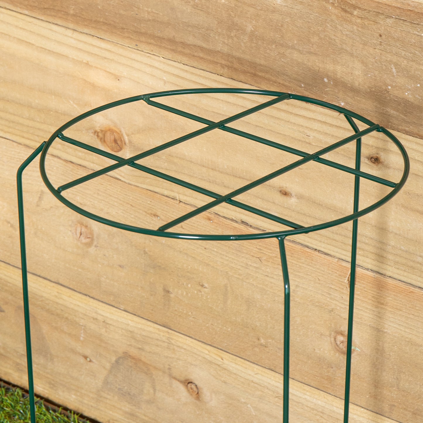 Tom Chambers Urban Dark Green Metal Herbaceous Garden Plant Support Grow Through Medium 50cm x 30cm