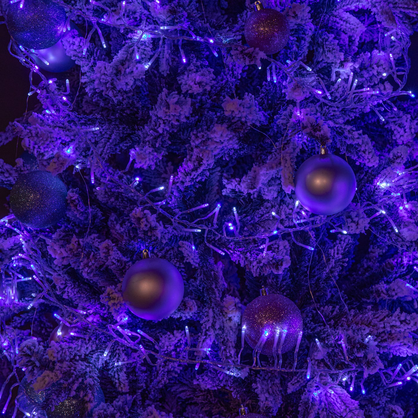 9.3m 720 LED Christmas Cluster String Lights with Timer in Blue, Purple & White on Clear Cable