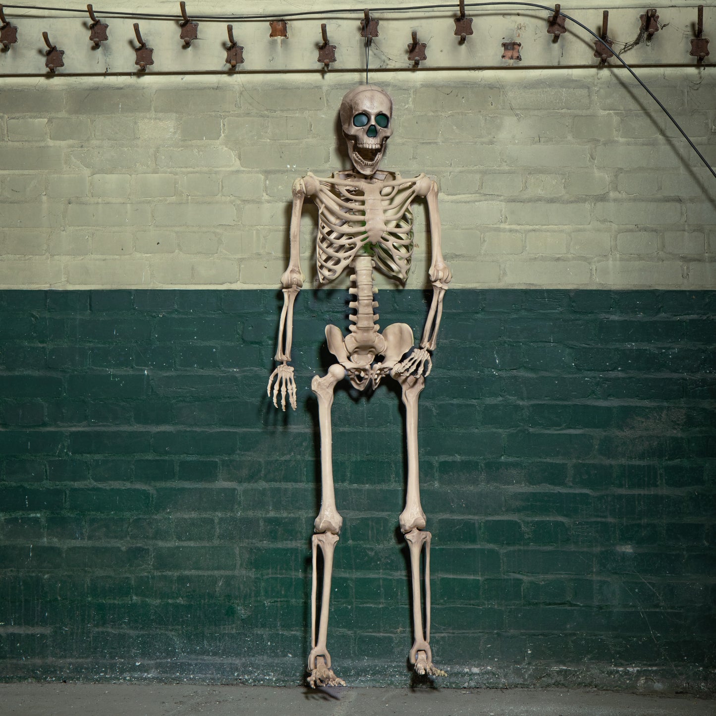 5ft (152cm) Battery Powered Light up Halloween Skeleton with Poseable Joints & Green LEDs