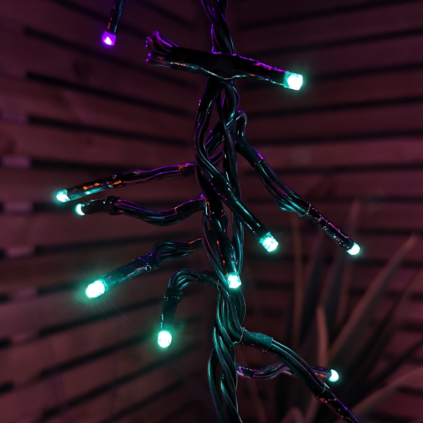 Set of 6 Drop Tree Multi-Action Christmas ClusterBrights with 384 Rainbow LEDs