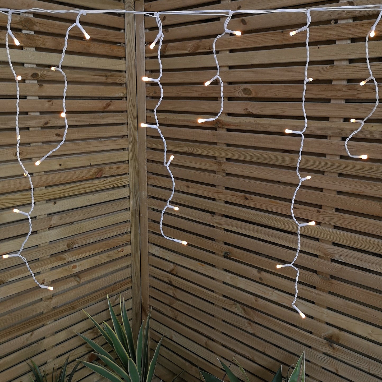 25m 1000 Vintage Gold LED Frosted Icicle Indoor Outdoor Christmas Lights with Timer