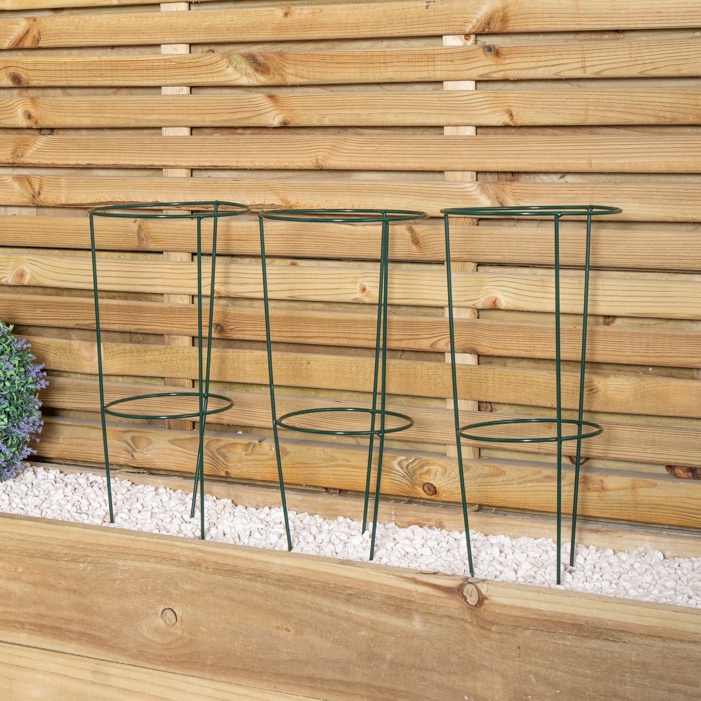 Pack of 3 Tom Chambers Urban Green Conical Garden Plant Support Ring 20cm- Small