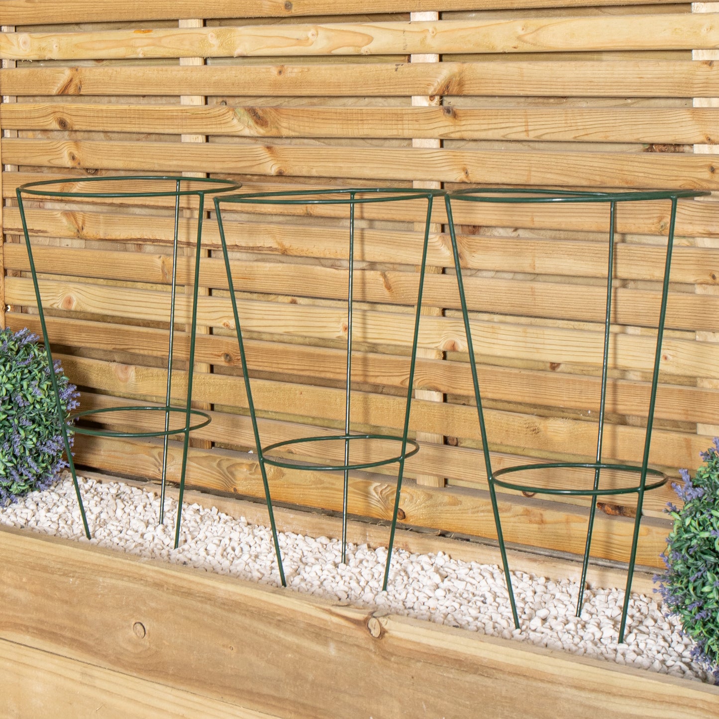 Pack of 3 Tom Chambers Urban Green Conical Garden Plant Support Ring 30cm - Medium